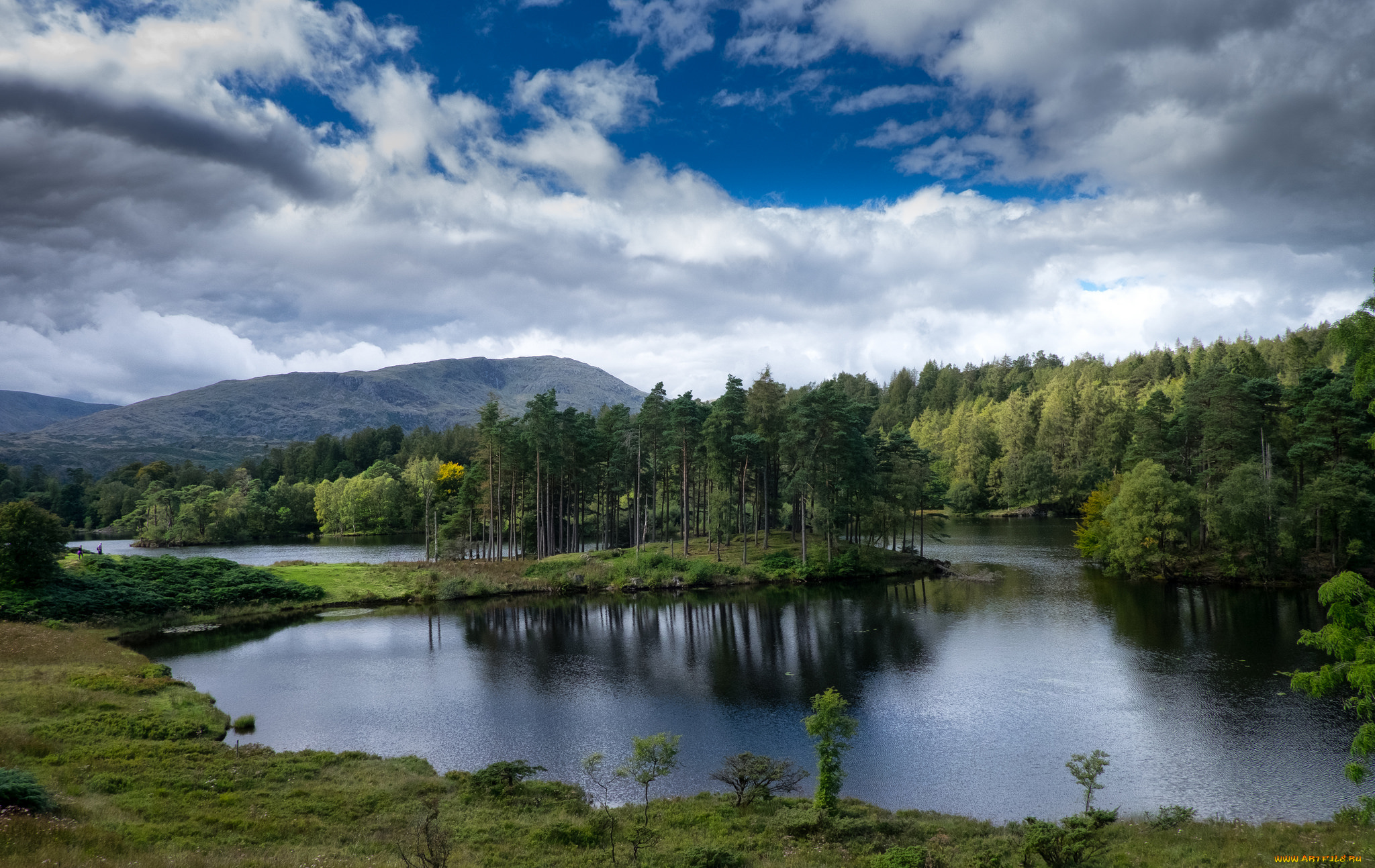 природа, реки, озера, река, лес