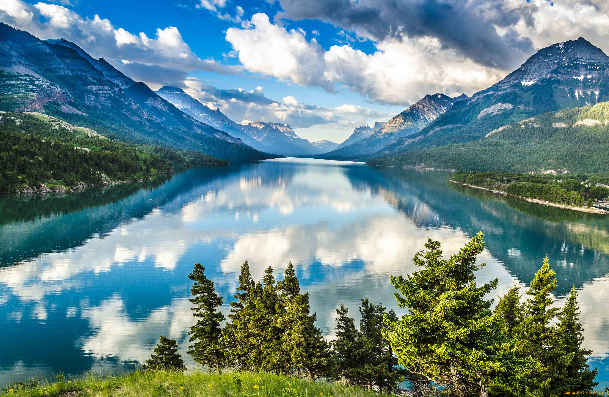 природа, реки, озера, река, лес