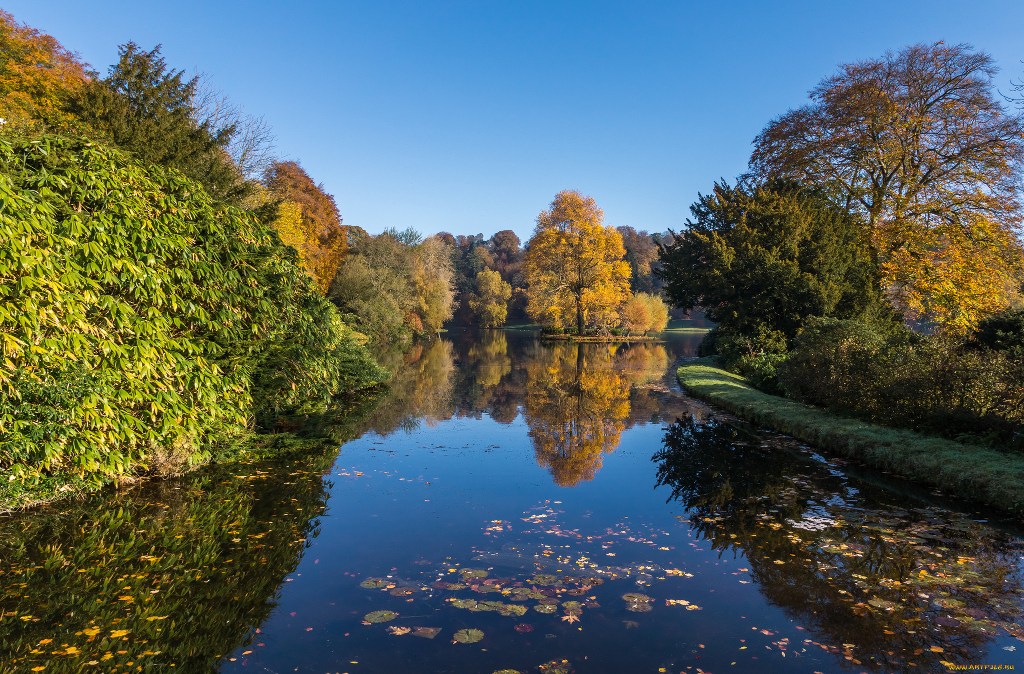 природа, реки, озера, лес, река