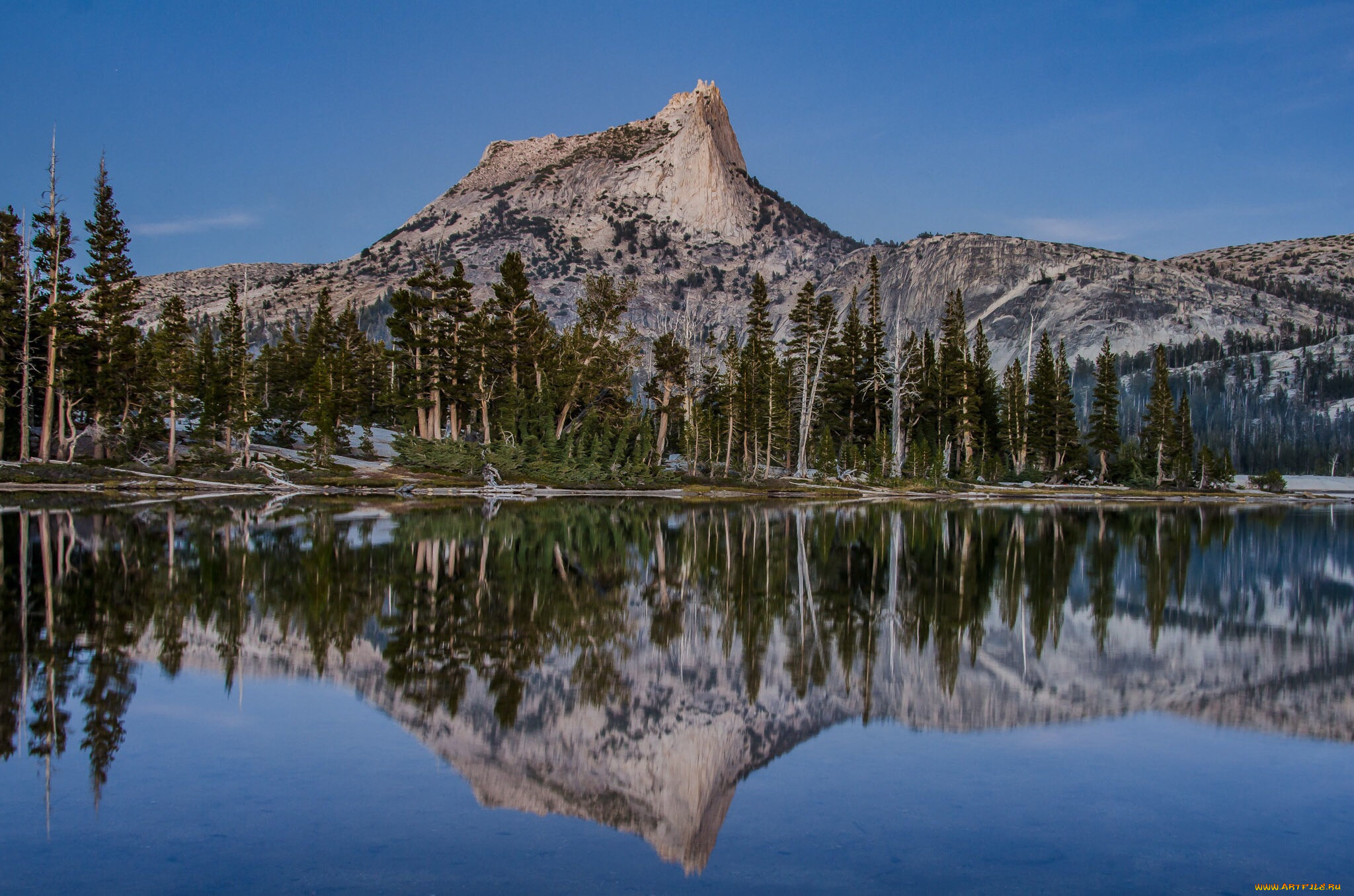 природа, реки, озера, лес, река