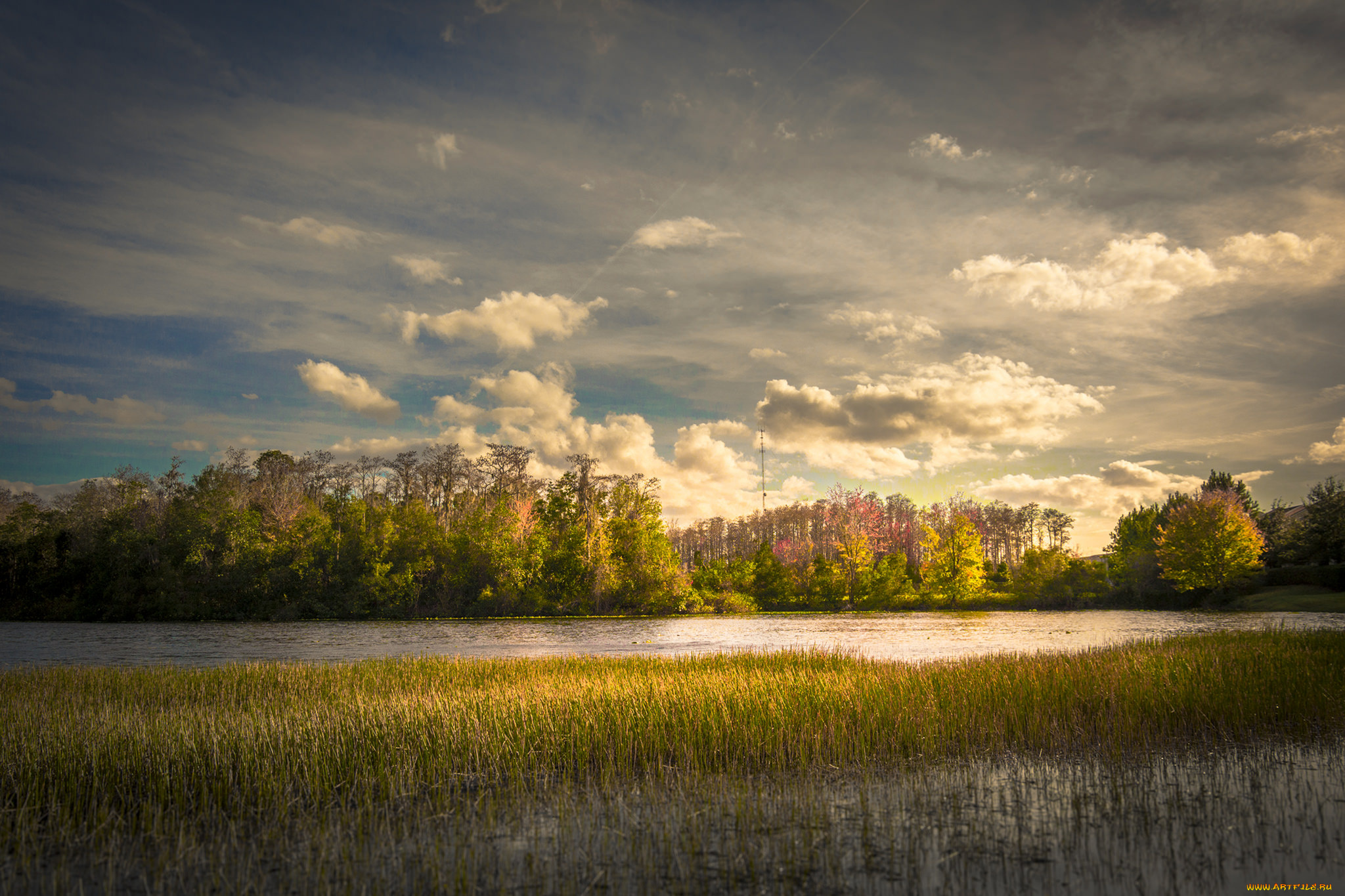 природа, реки, озера, лес, река