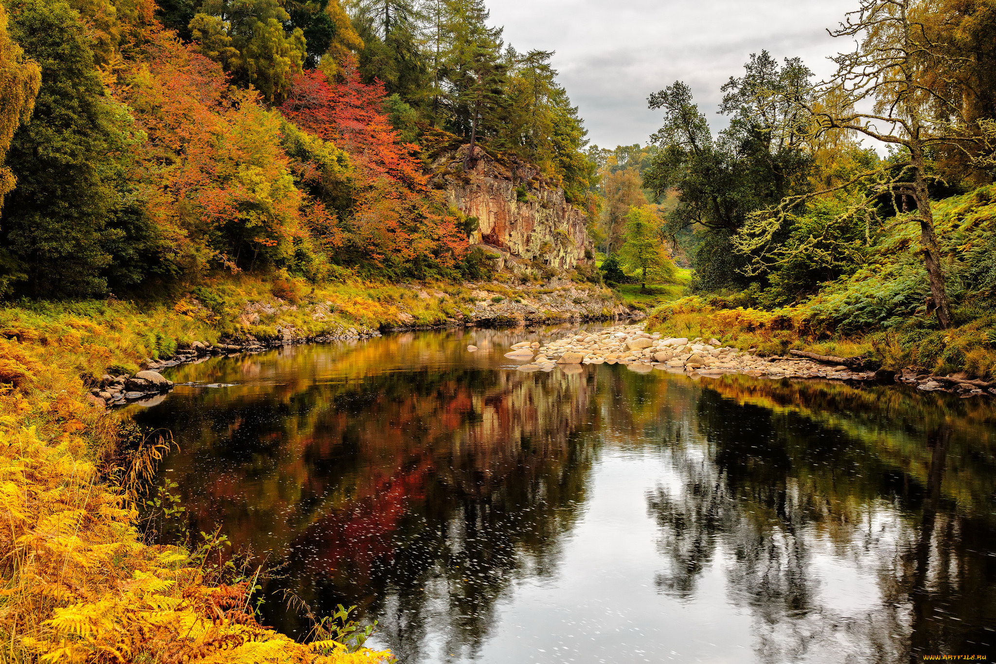 природа, реки, озера, лес, река