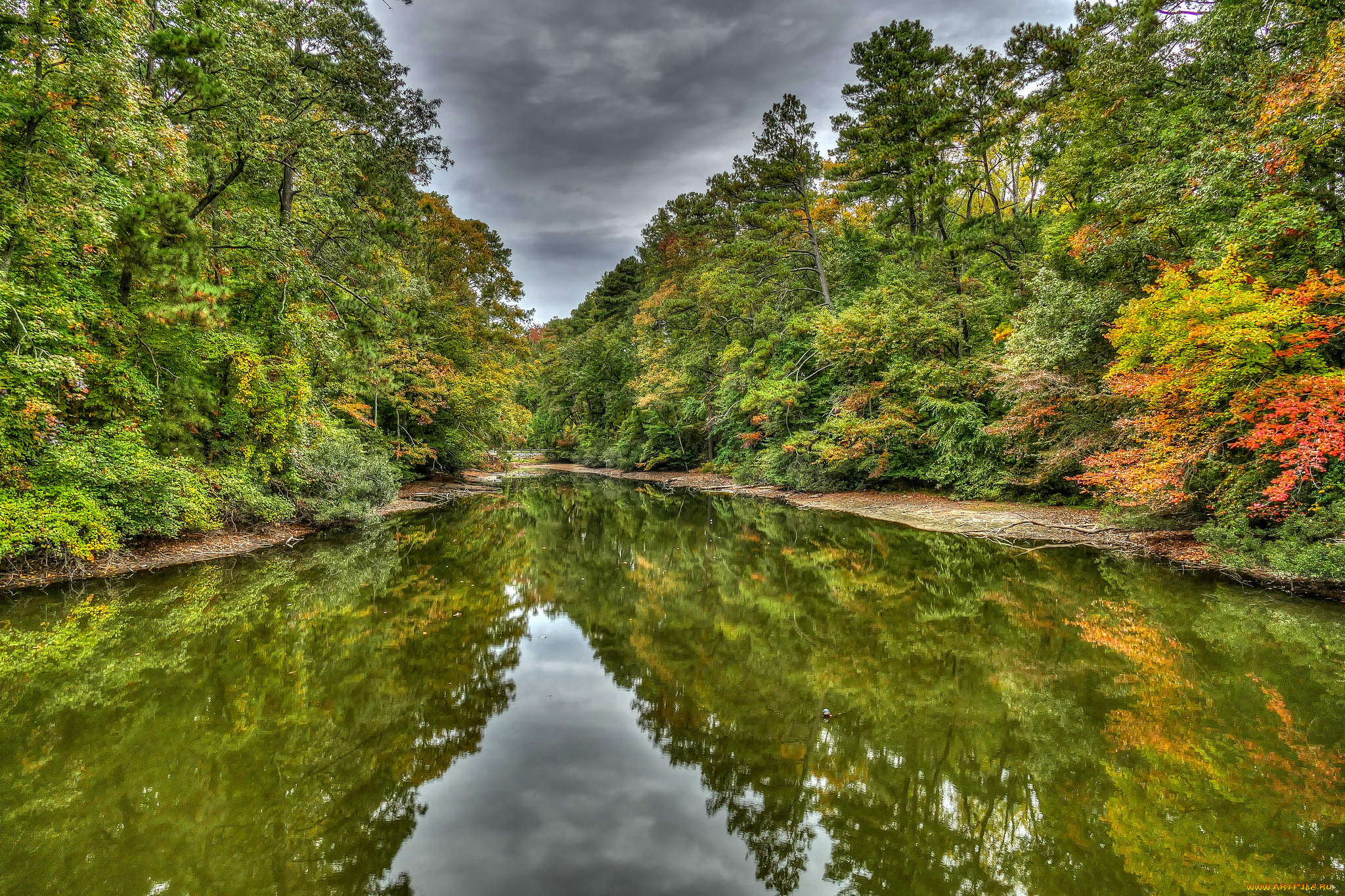 природа, реки, озера, лес, река