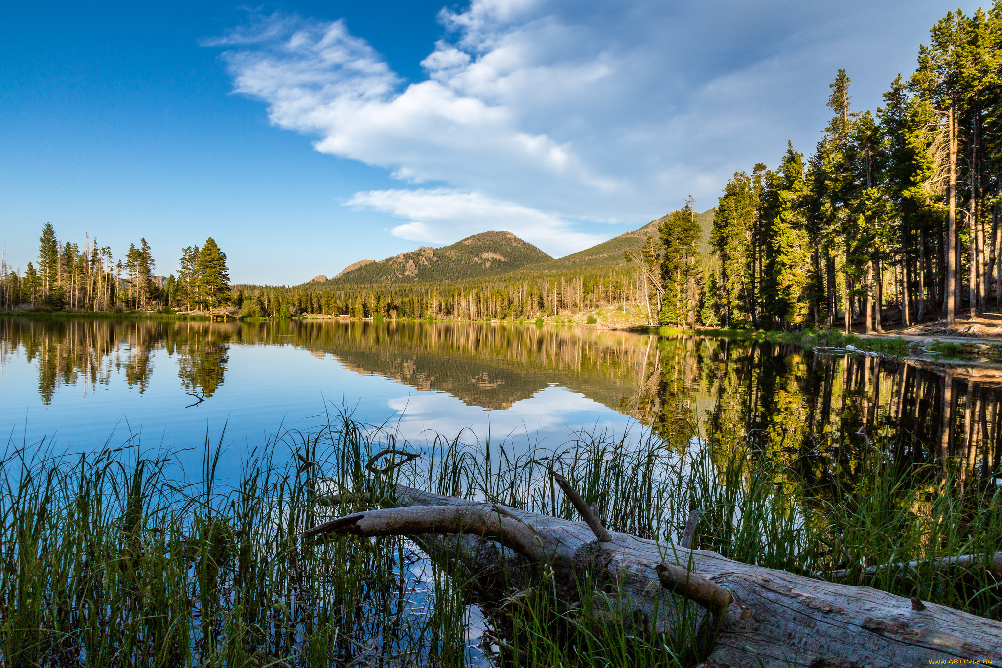 природа, реки, озера, река, лес