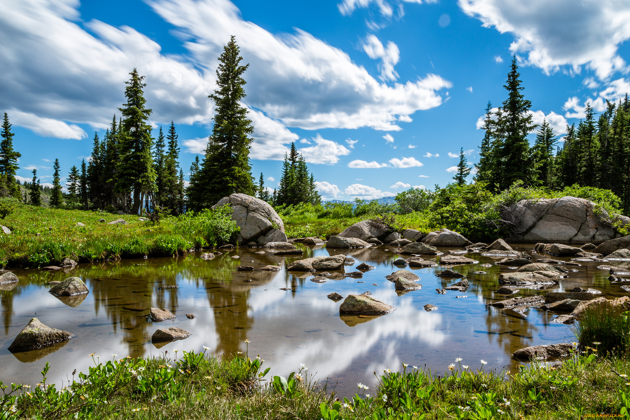 природа, реки, озера, река, лес