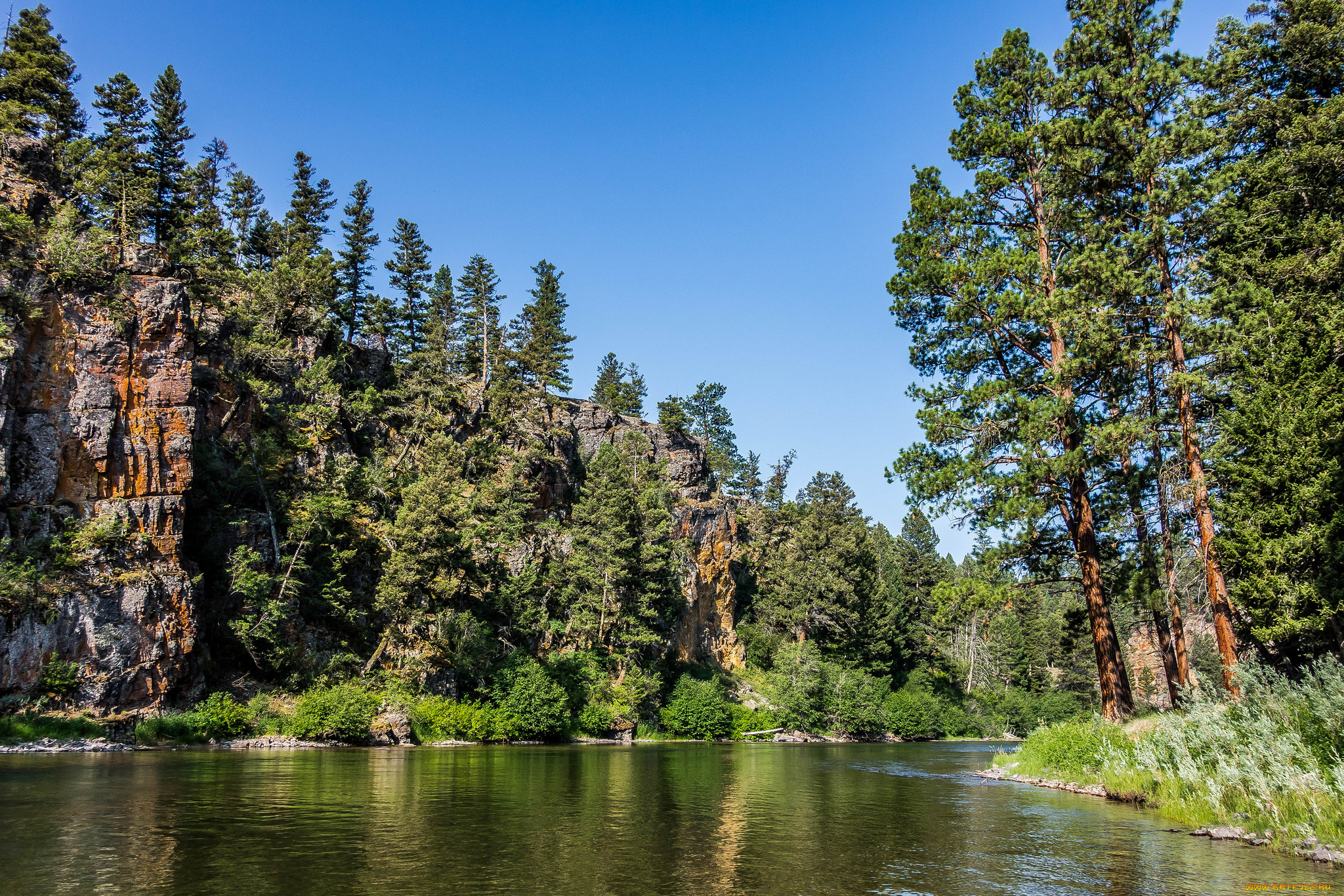 природа, реки, озера, река, лес