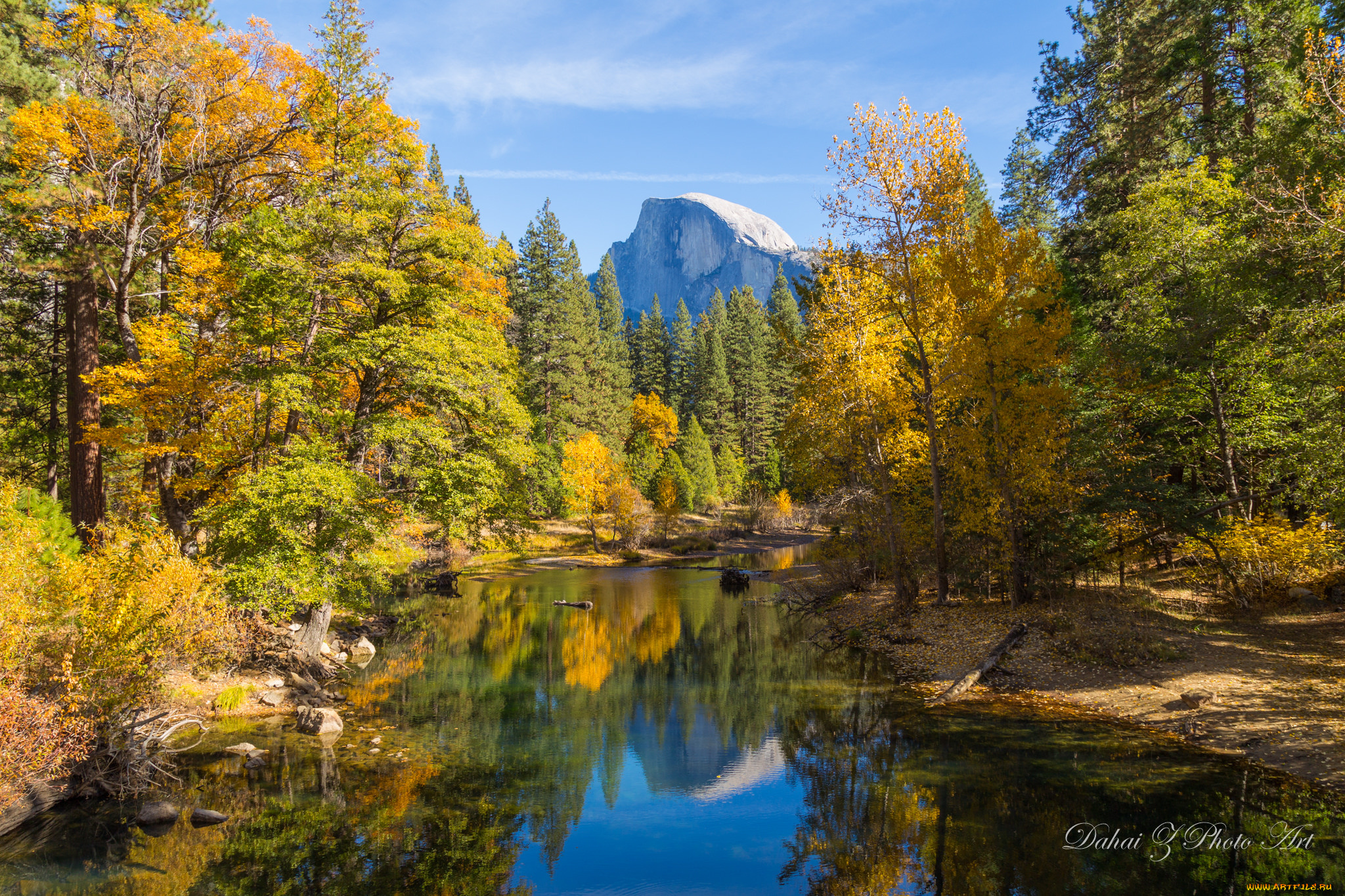 природа, реки, озера, река, лес