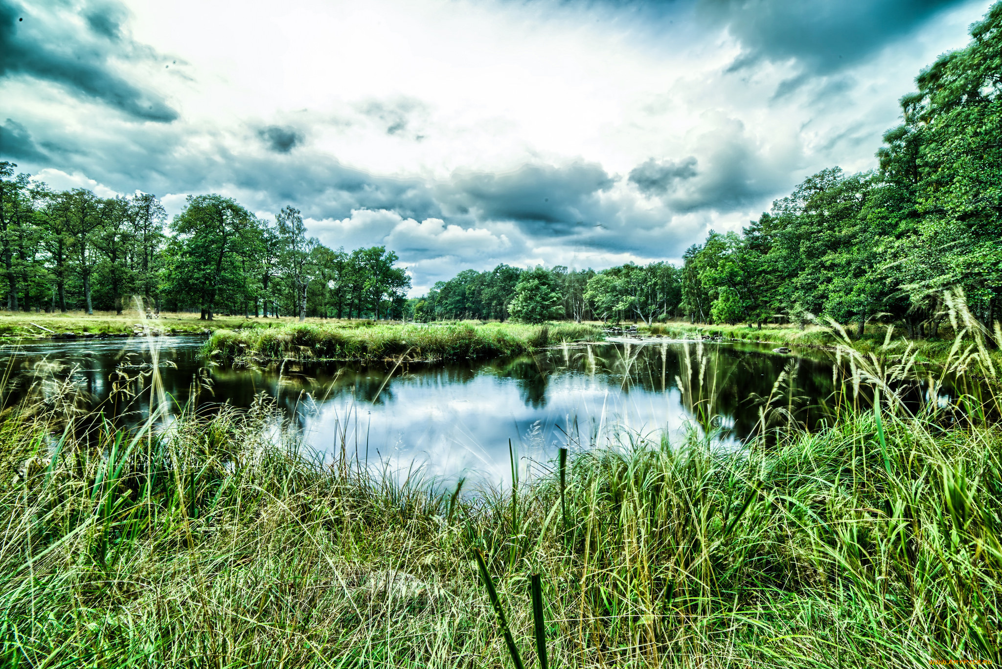 природа, реки, озера, река, лес