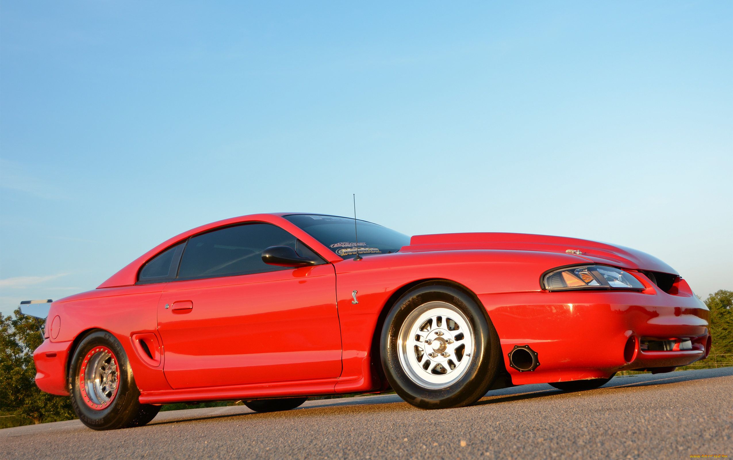 автомобили, mustang