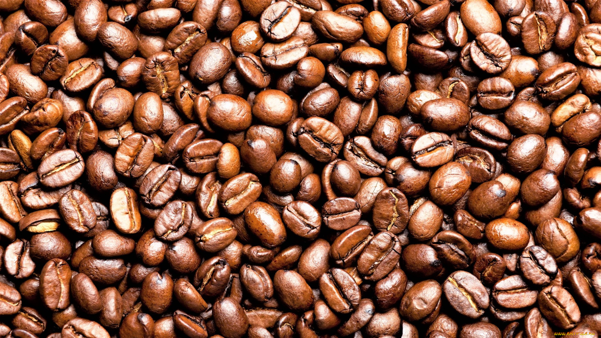 еда, кофе, , кофейные, зёрна, зерна, россыпь