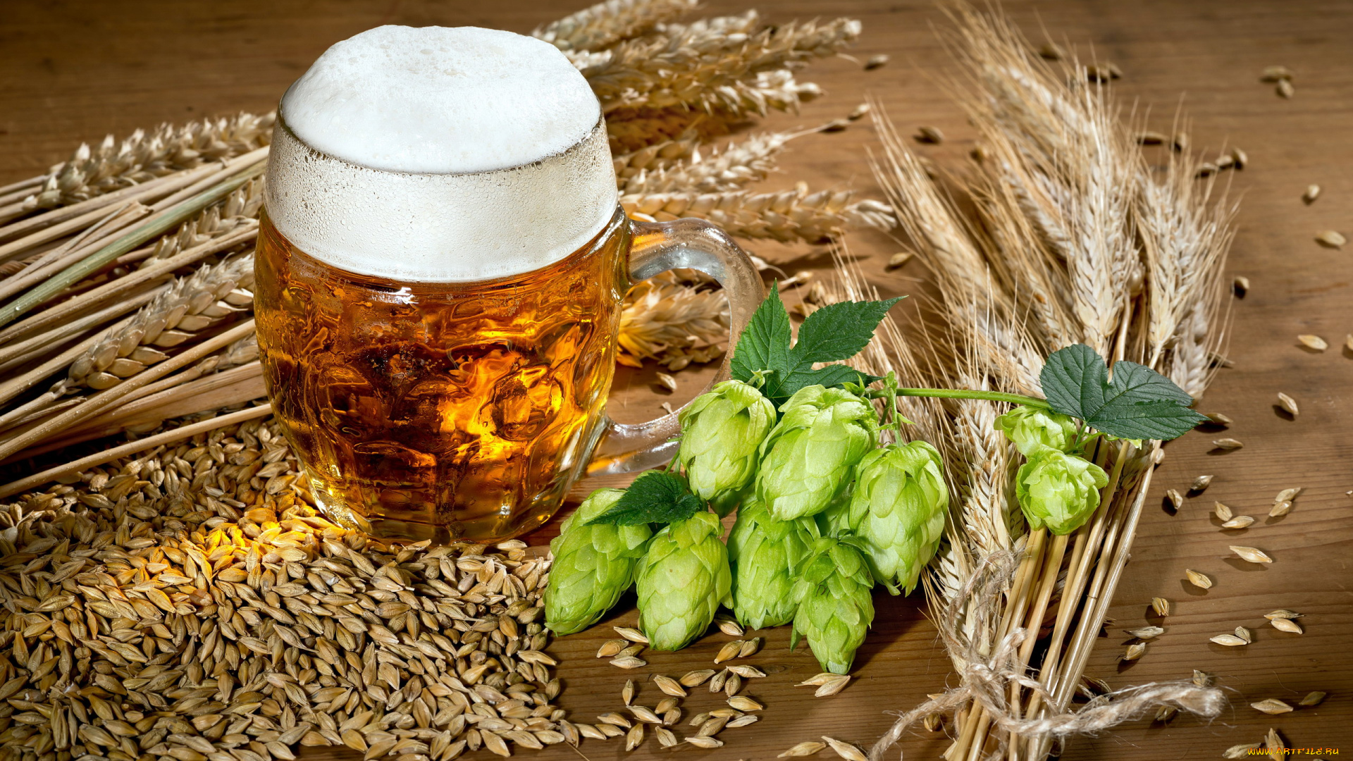 еда, напитки, , пиво, хмель, бокал, пена, пиво
