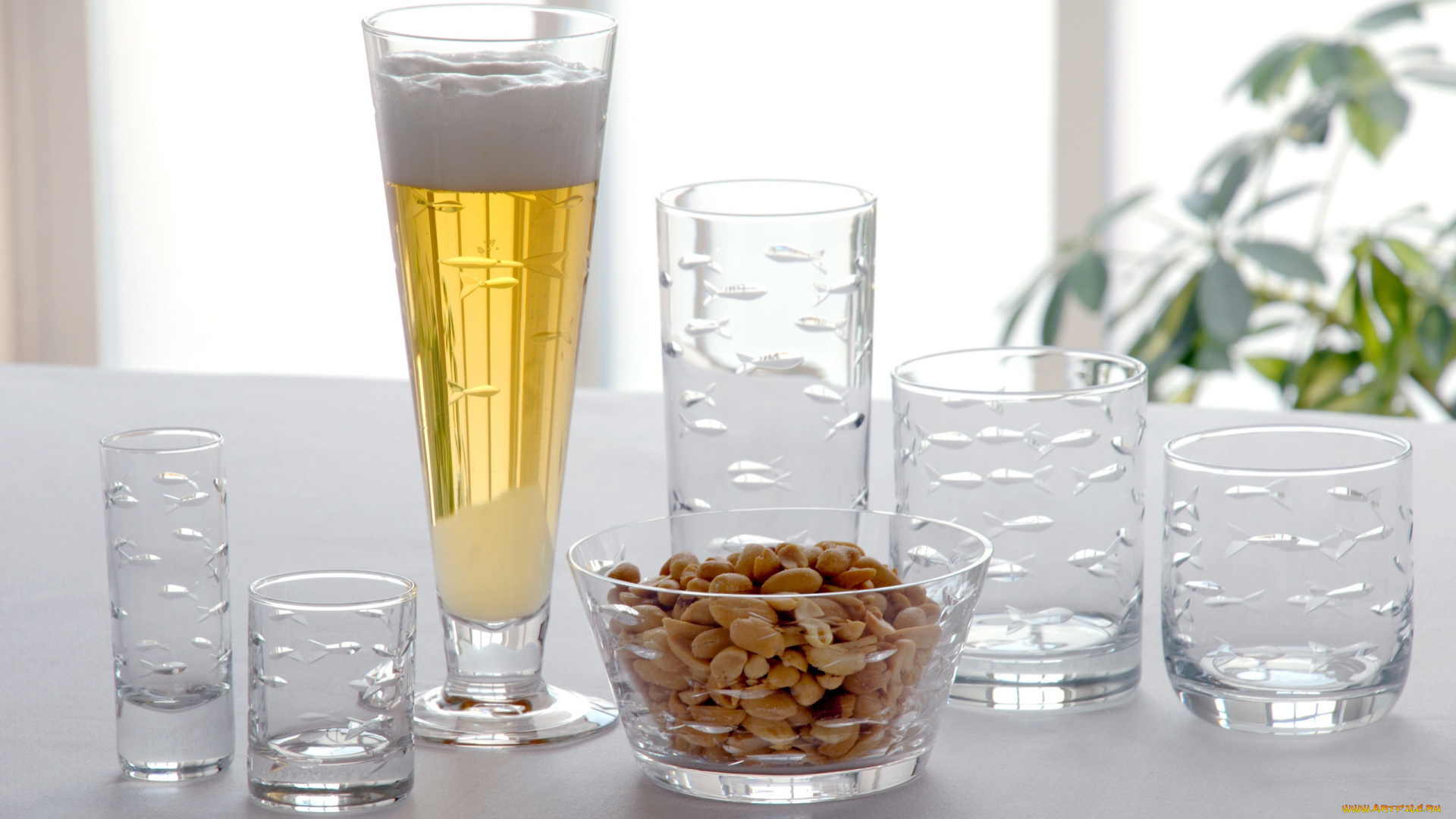 еда, напитки, , пиво, орехи, бокал, пена, пиво