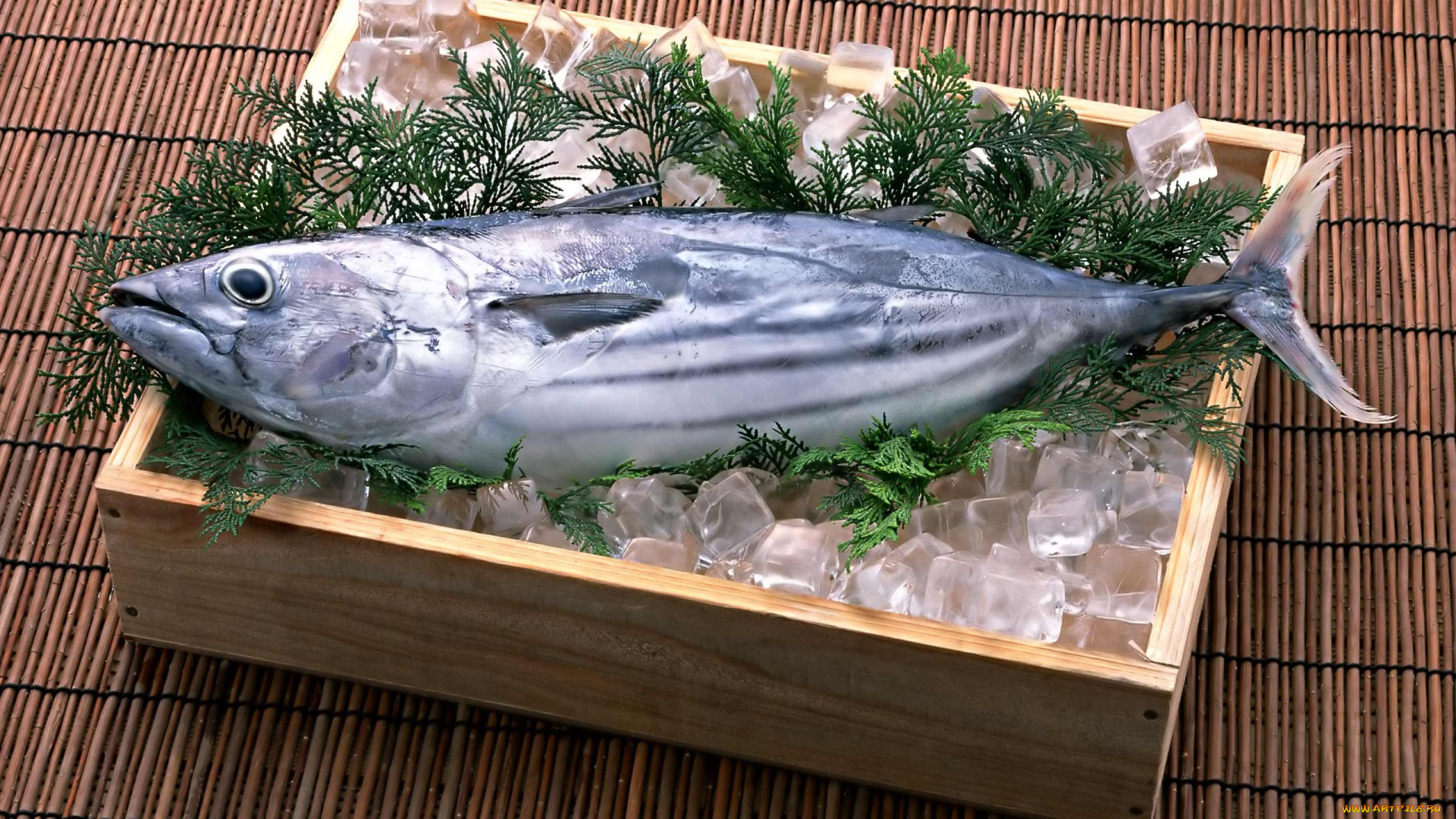 еда, рыба, , морепродукты, , суши, , роллы, тунец