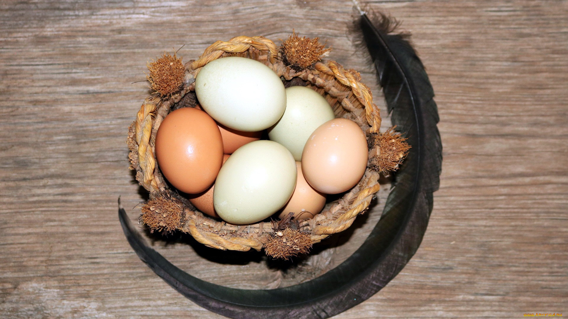 еда, Яйца, яйца, свежие