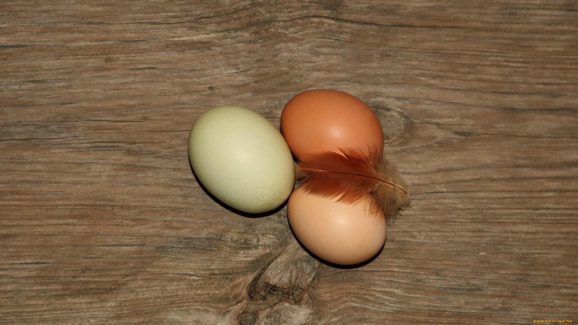 еда, Яйца, яйца, свежие