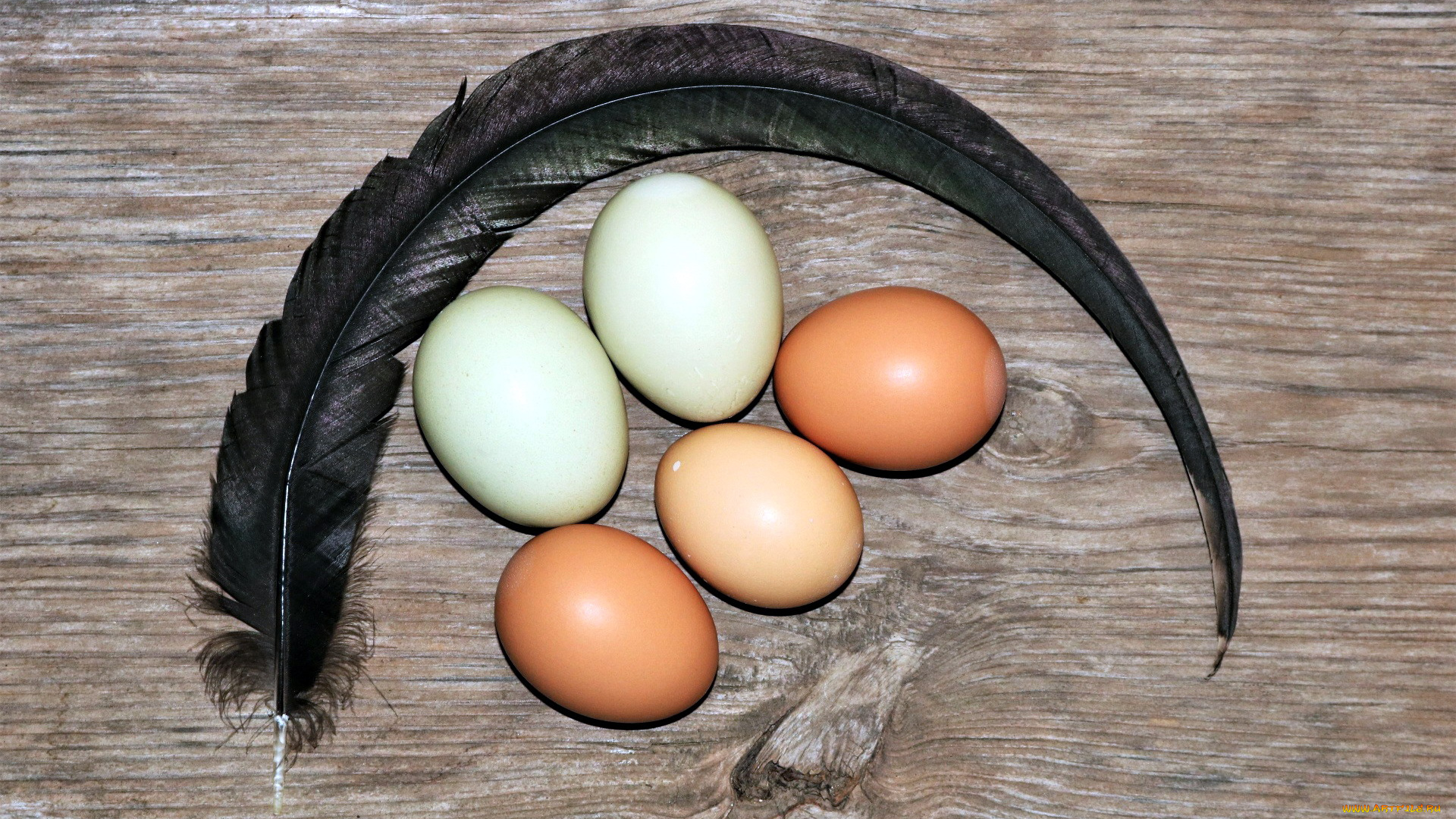 еда, Яйца, яйца, свежие