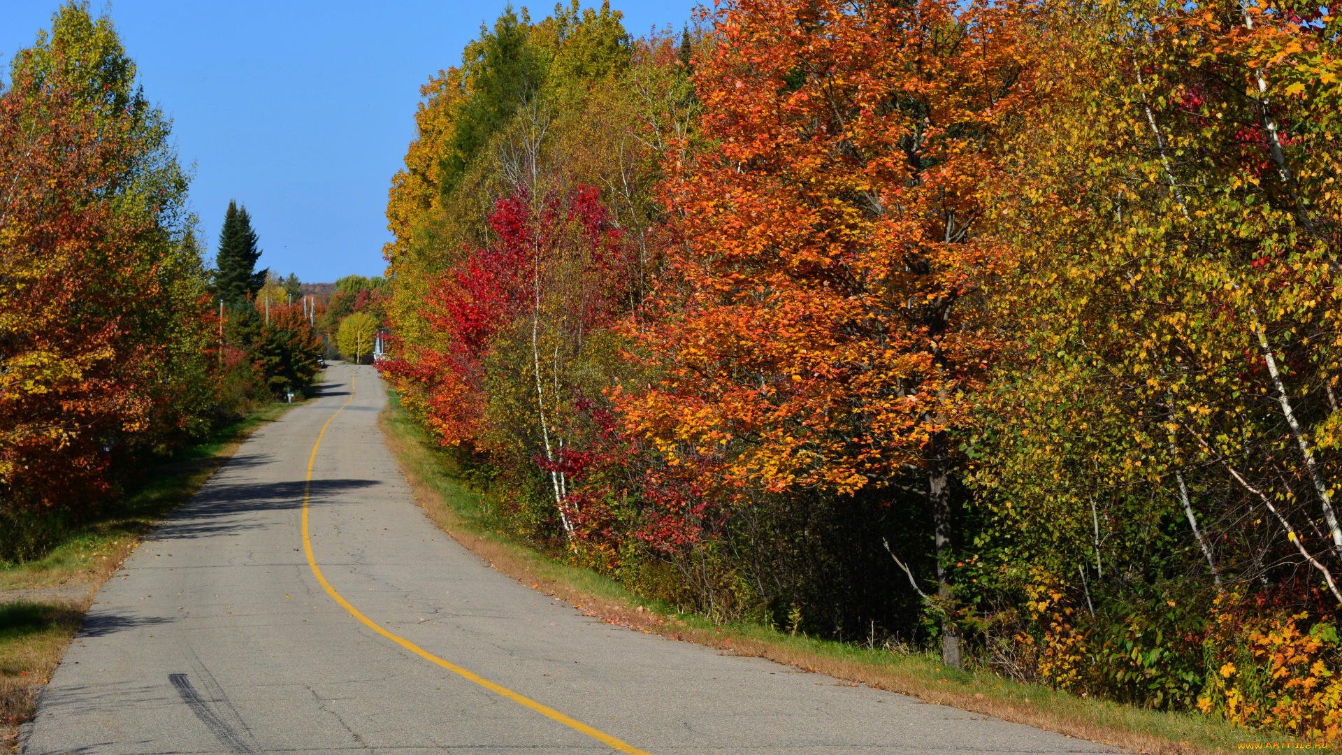 природа, дороги, шоссе, дорога, осень