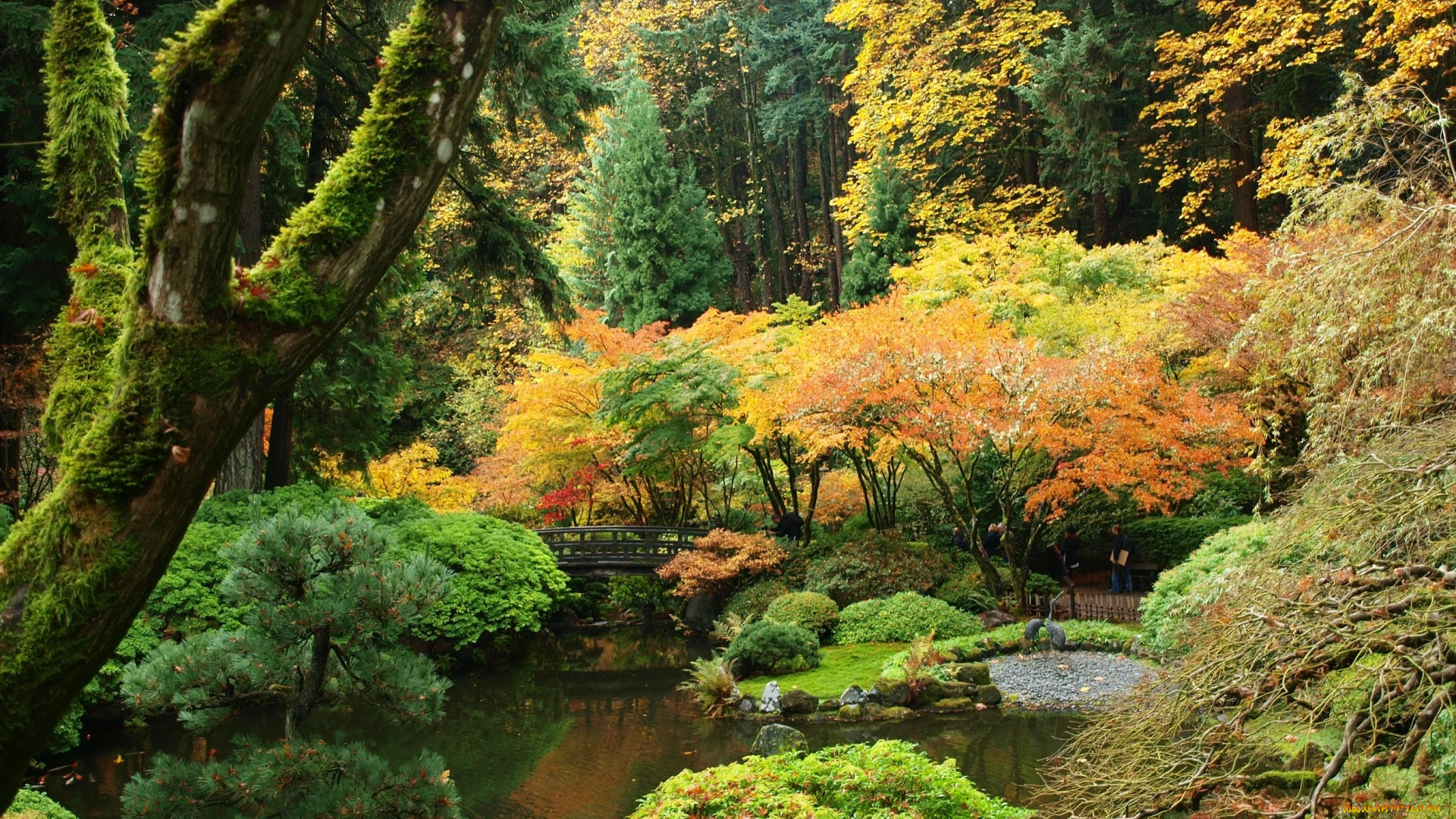 природа, парк, пруд, мостик