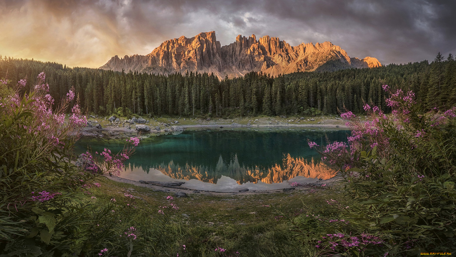 природа, реки, озера, простор