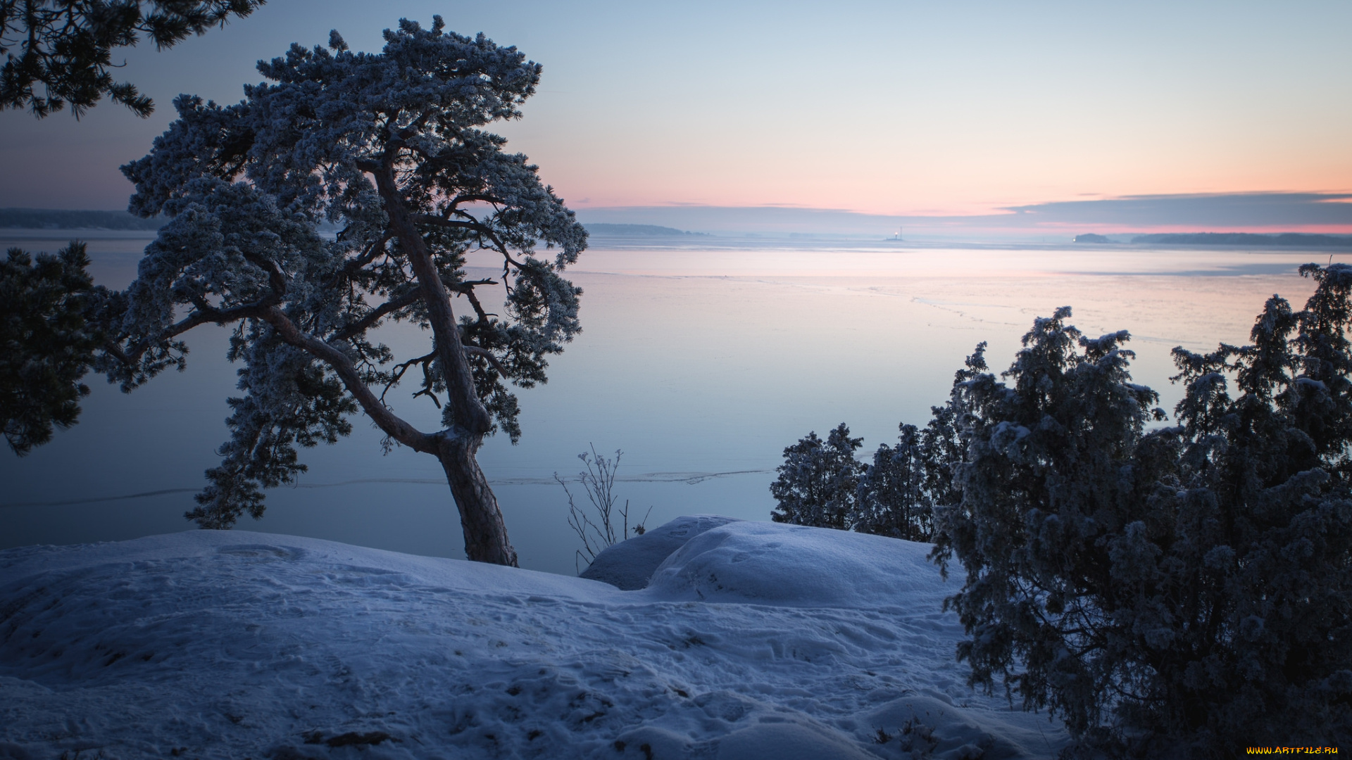 природа, зима, простор