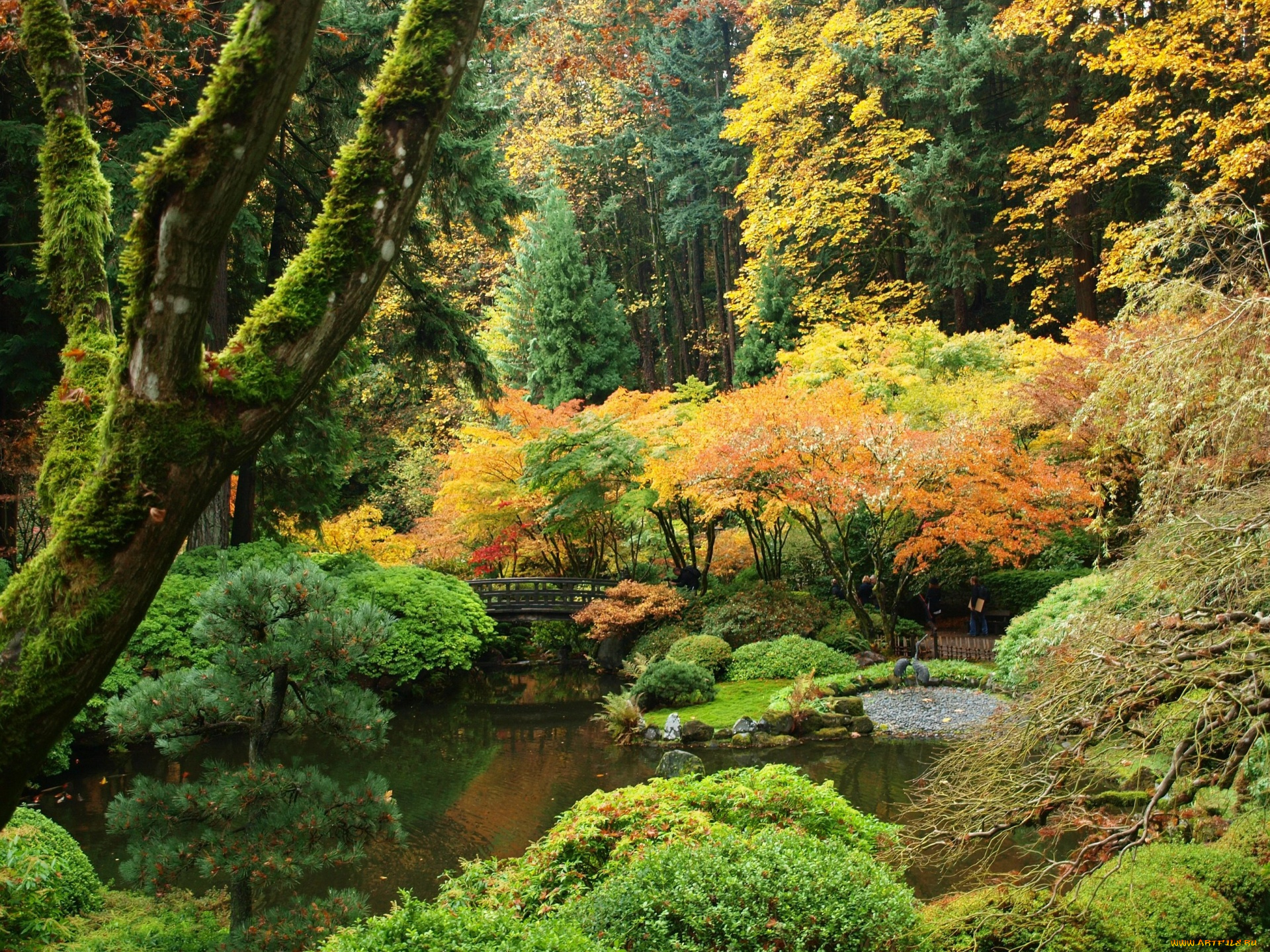 природа, парк, пруд, мостик