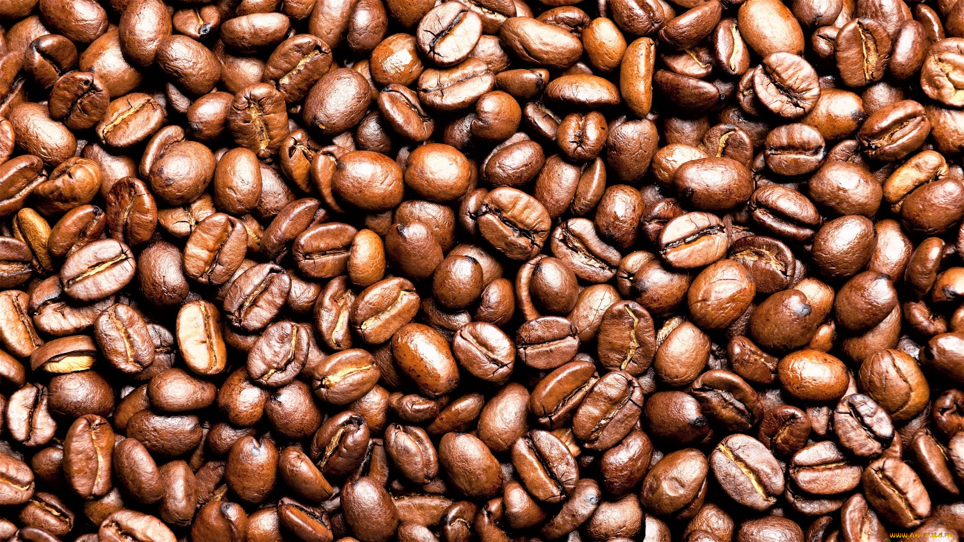 еда, кофе, , кофейные, зёрна, зерна, россыпь