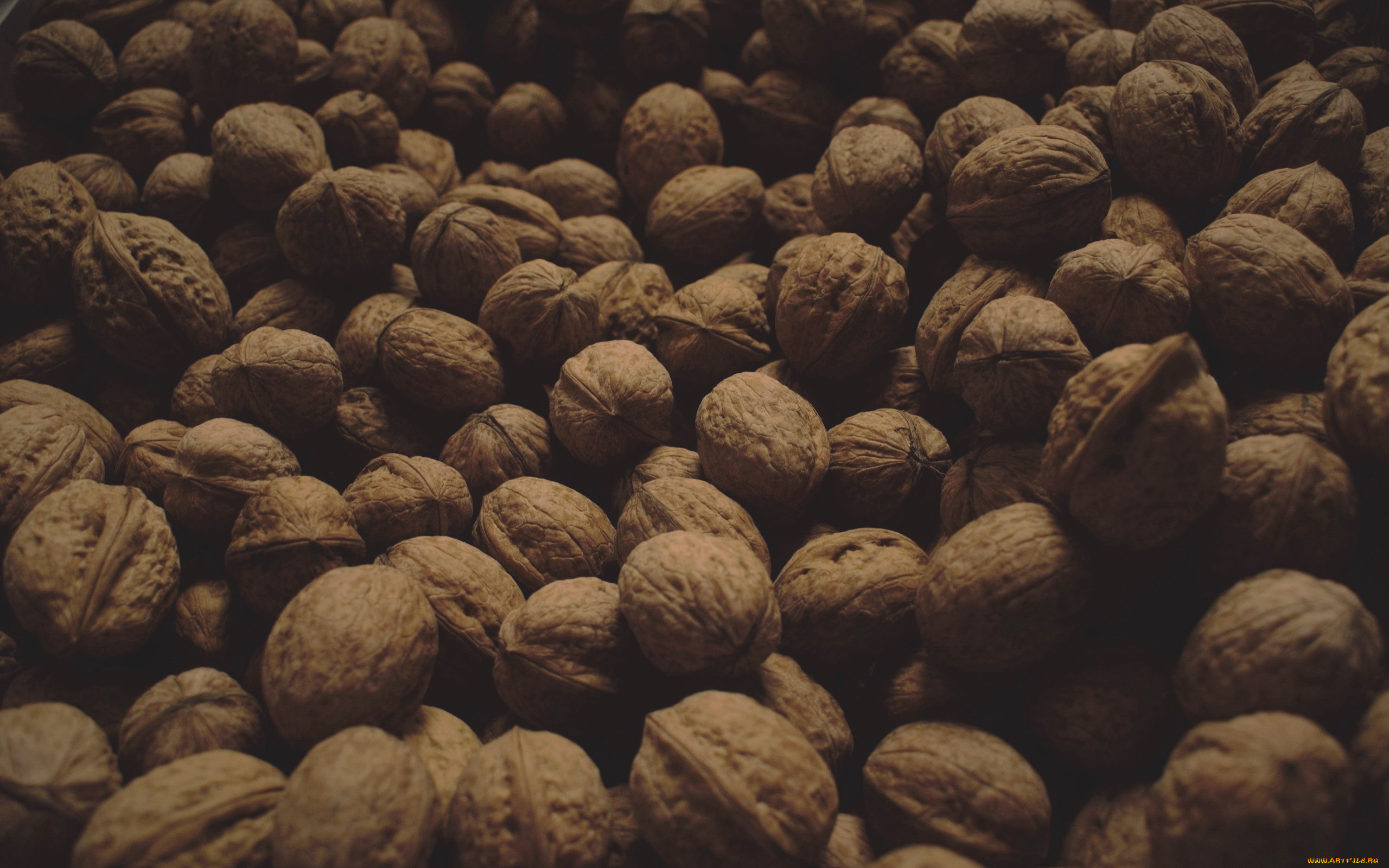 еда, орехи, , каштаны, , какао-бобы, грецкие