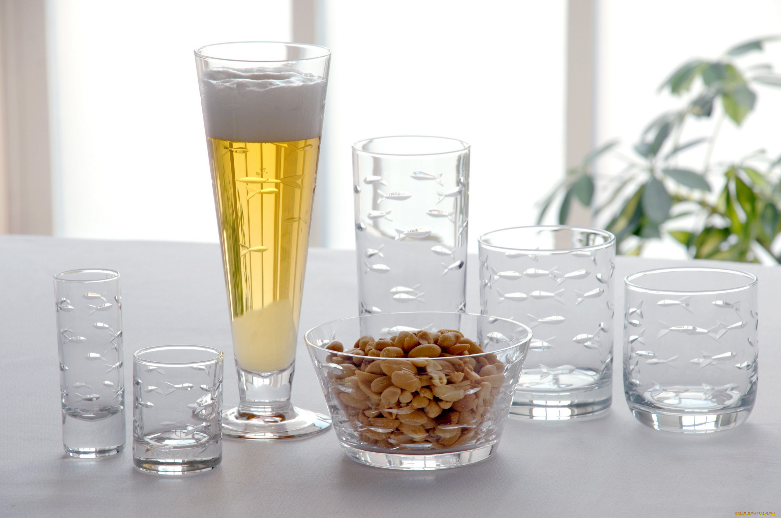 еда, напитки, , пиво, орехи, бокал, пена, пиво