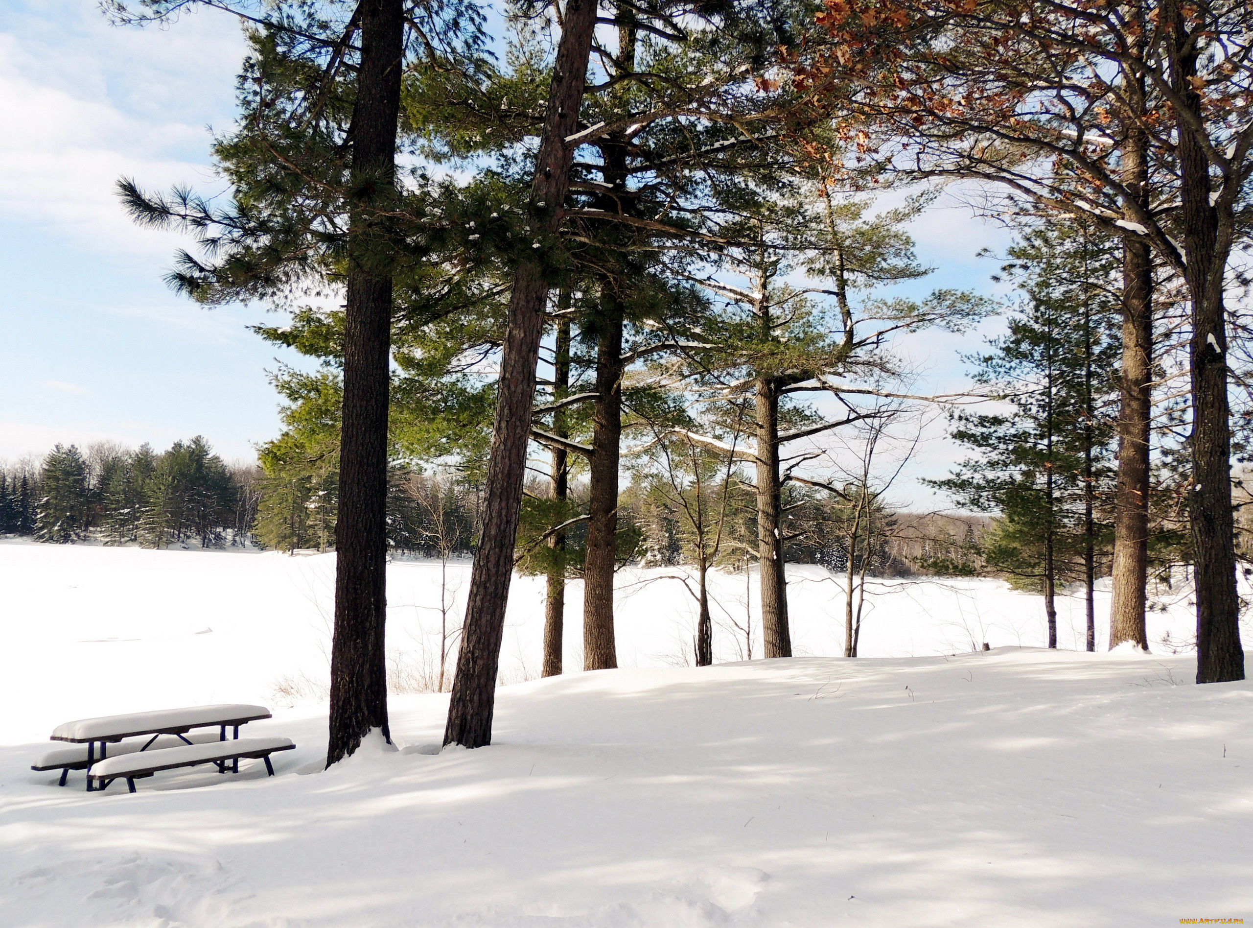 природа, зима, снег