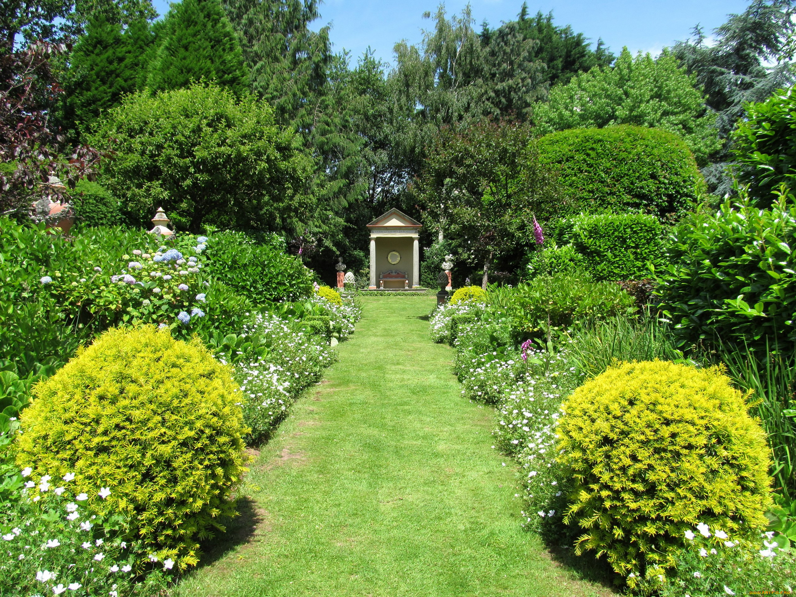 природа, парк, кусты