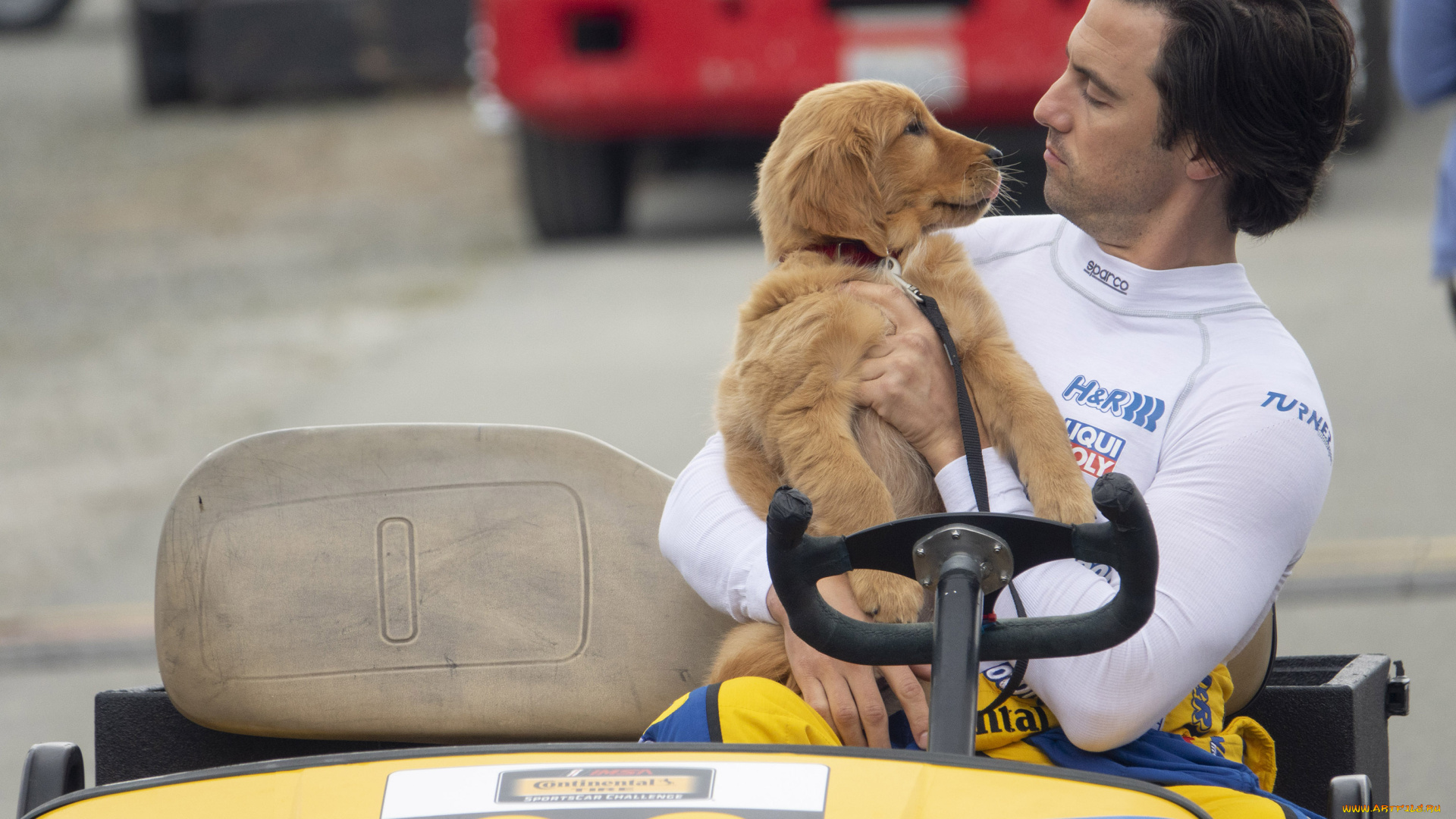 the, art, of, racing, in, the, rain, , 2019, кино, фильмы, -unknown, , другое, спорт, комедия, кадры, из, фильма, майло, вентимилья, невероятный, мир, глазами, энцо, мелодрама