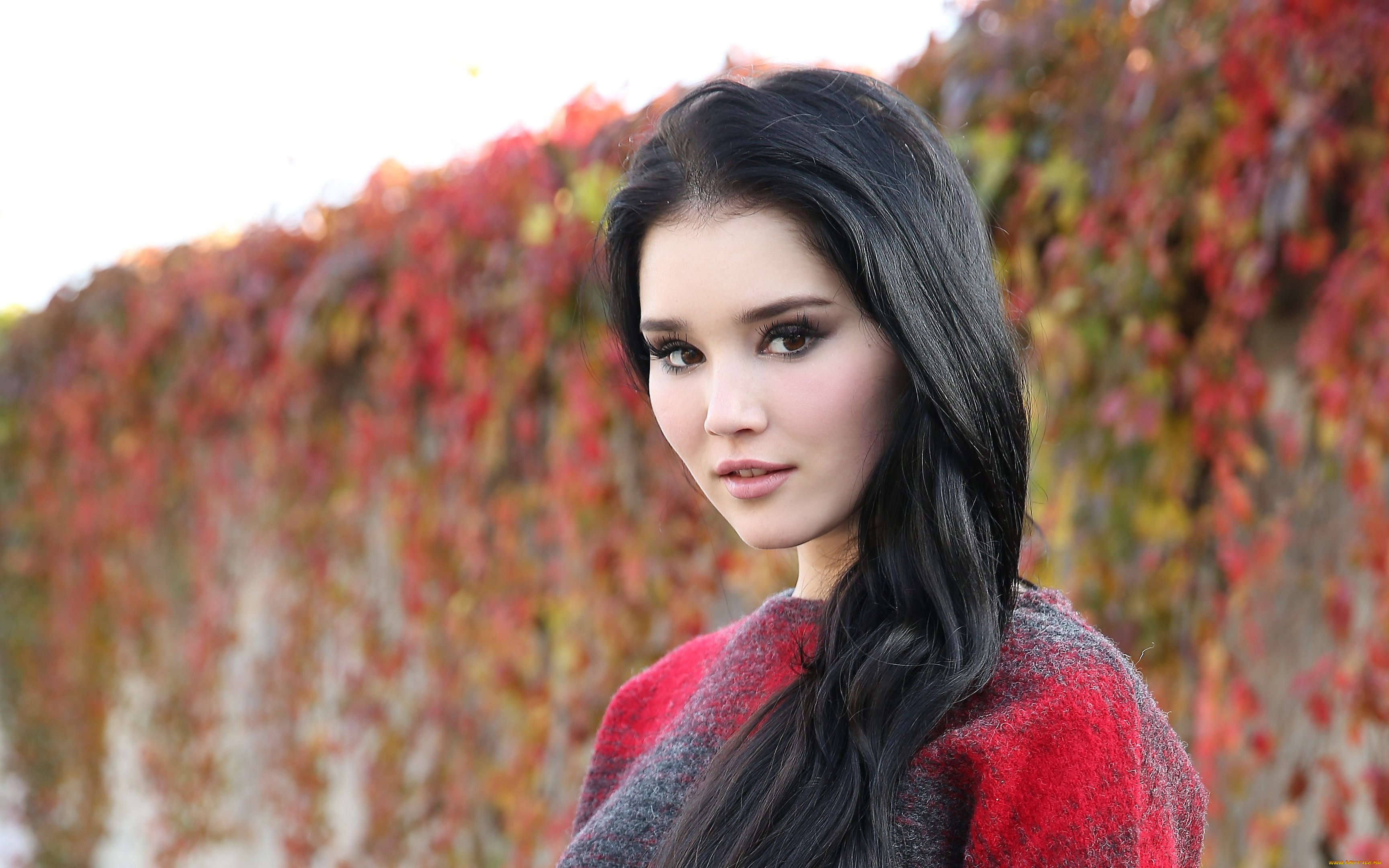 malena, fendi, девушки, брюнетка, красотка, модель, портрет, лицо, девушка, malena, fendi, поза