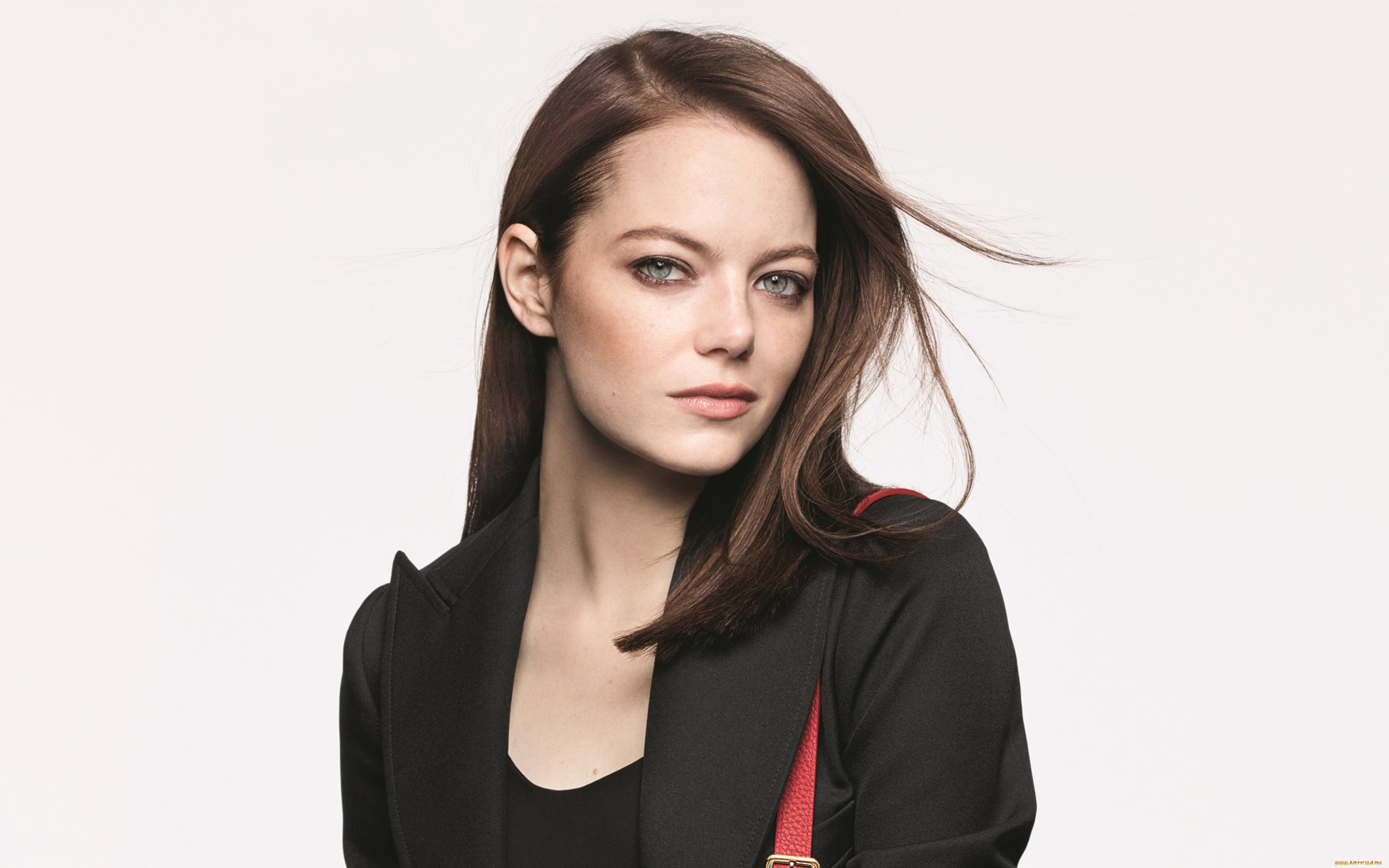 девушки, emma, stone, актриса, шатенка, лицо, жакет