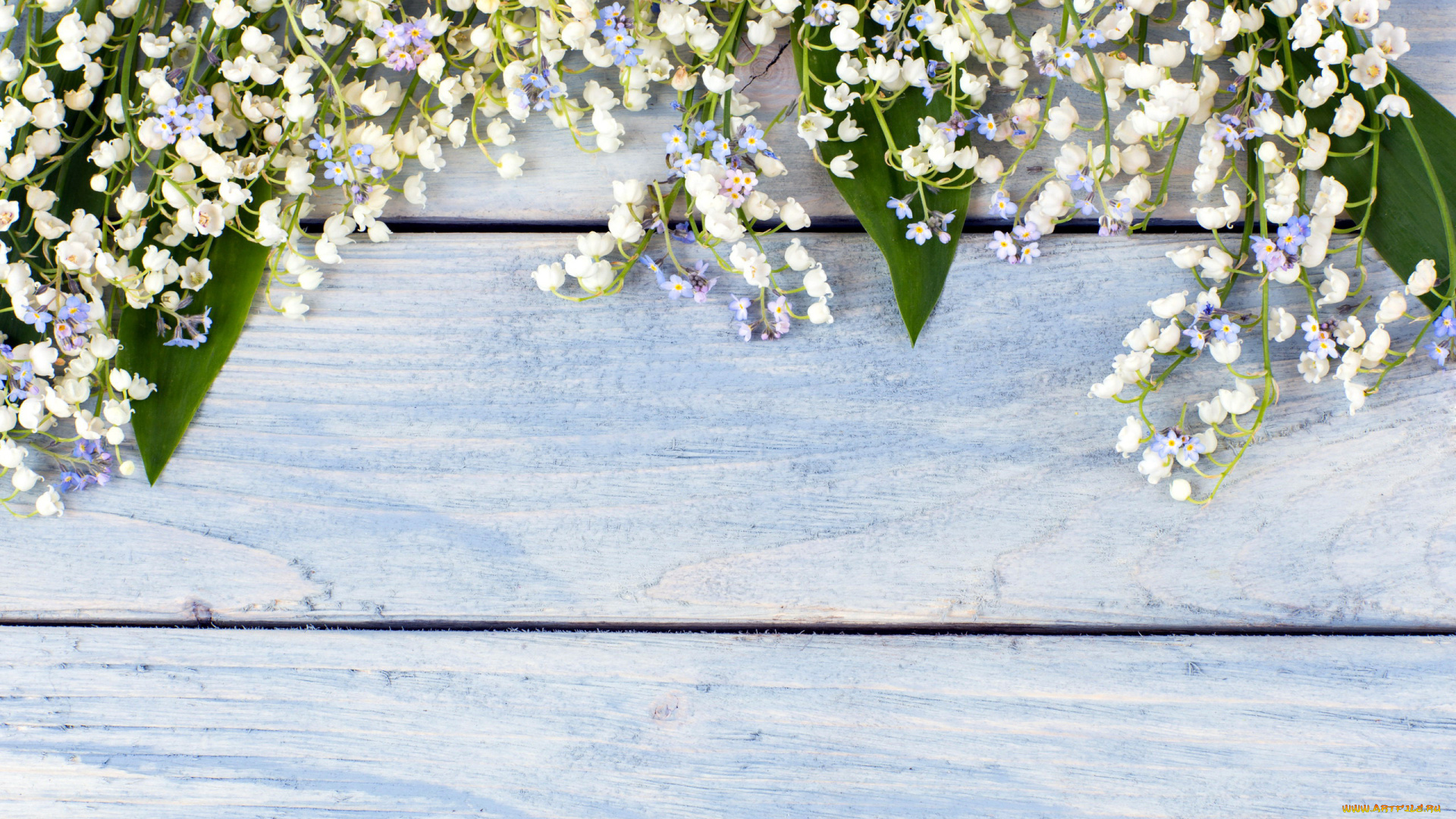 цветы, разные, вместе, ландыши, незабудки