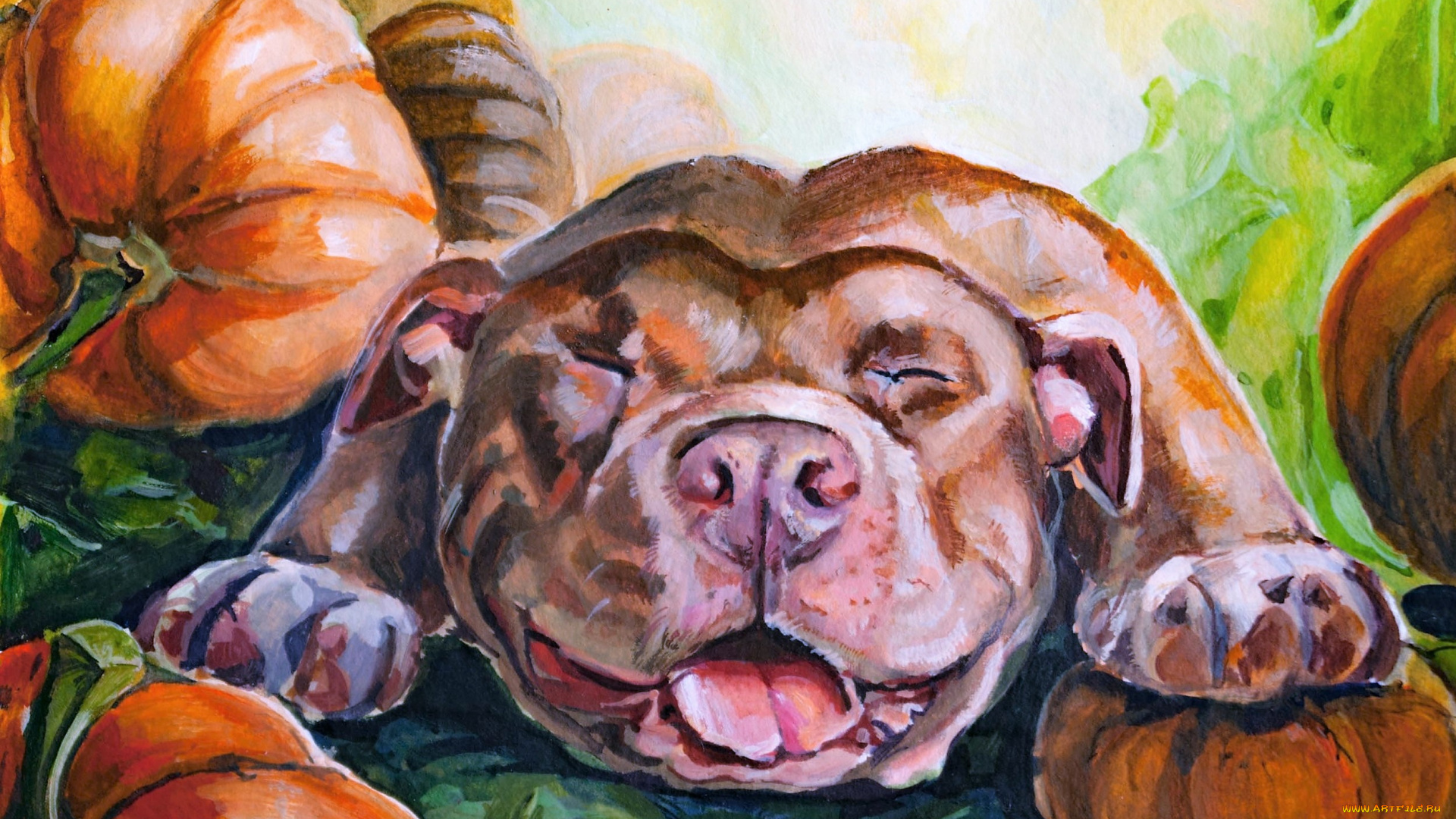 рисованное, животные, , собаки, собака, тыквы