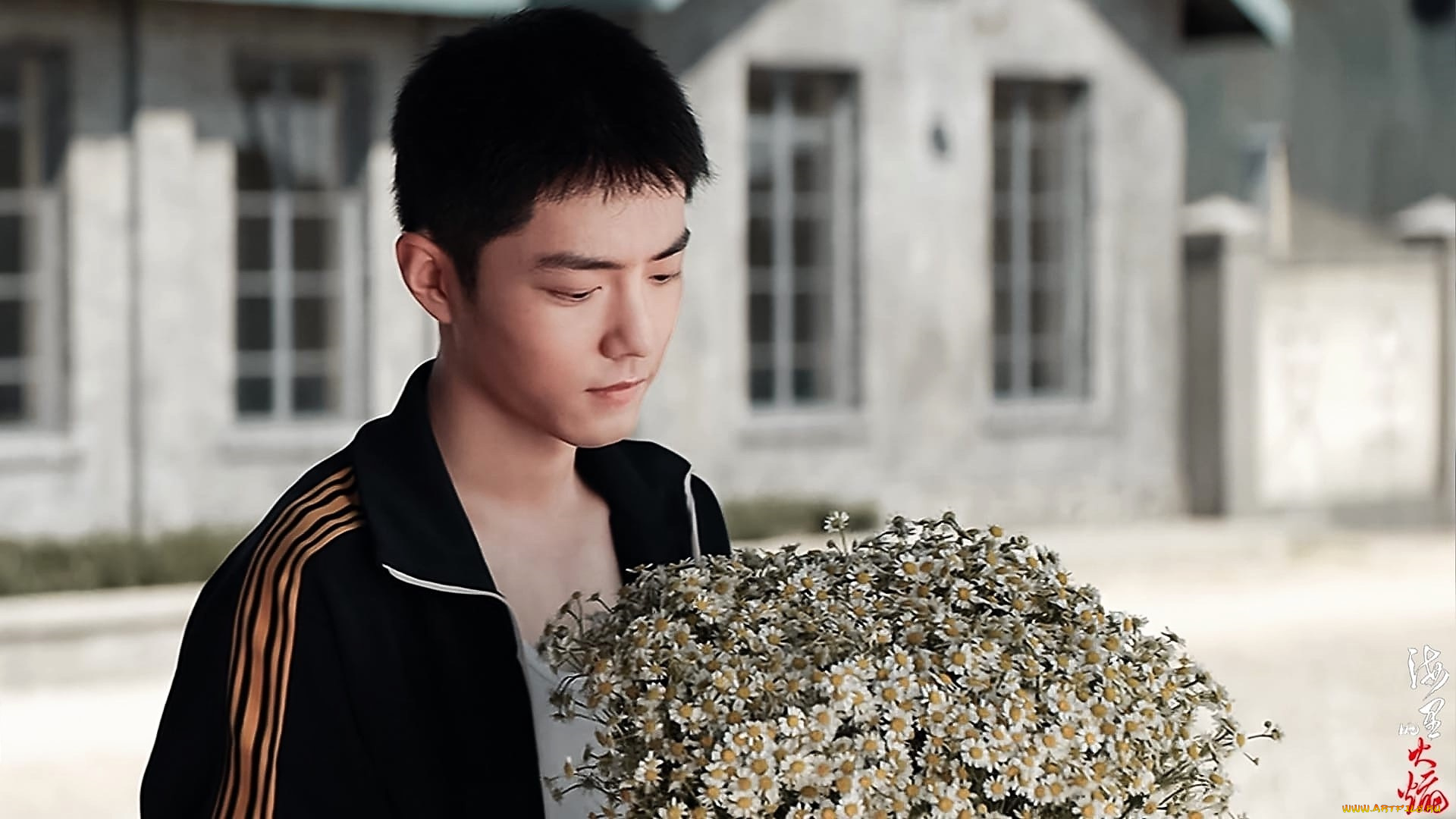 кино, фильмы, ace, troops, гу, ие, лицо, букет, ромашки