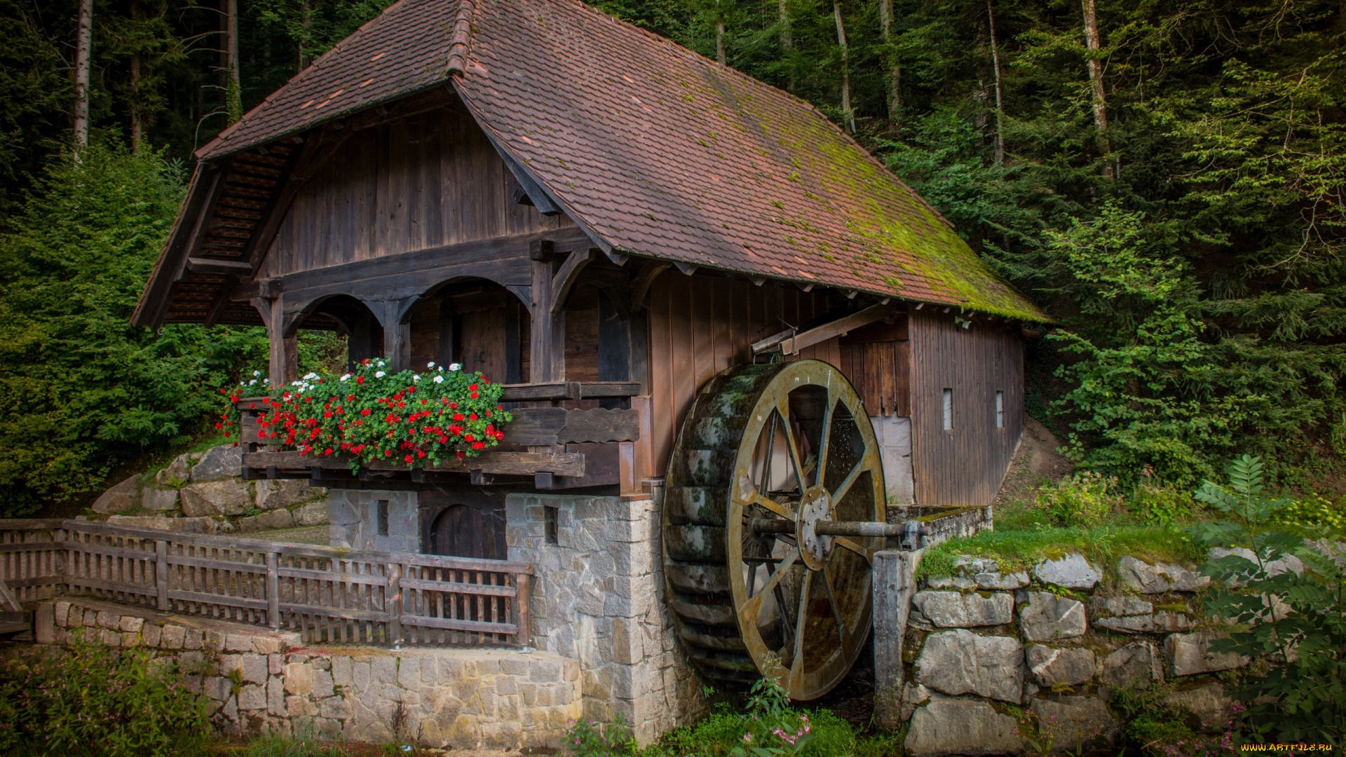 разное, мельницы, лес, мельница, колесо, цветы