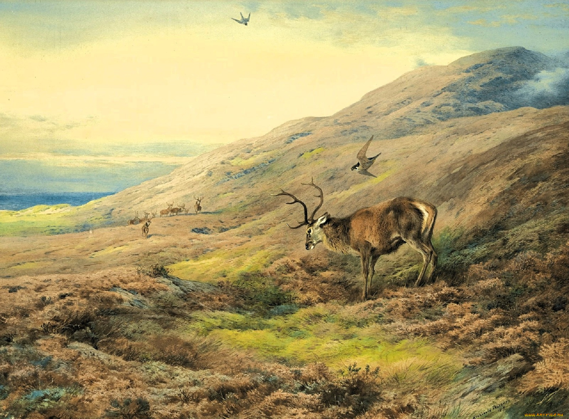 рисованное, archibald, thorburn, олени, сокол, горы