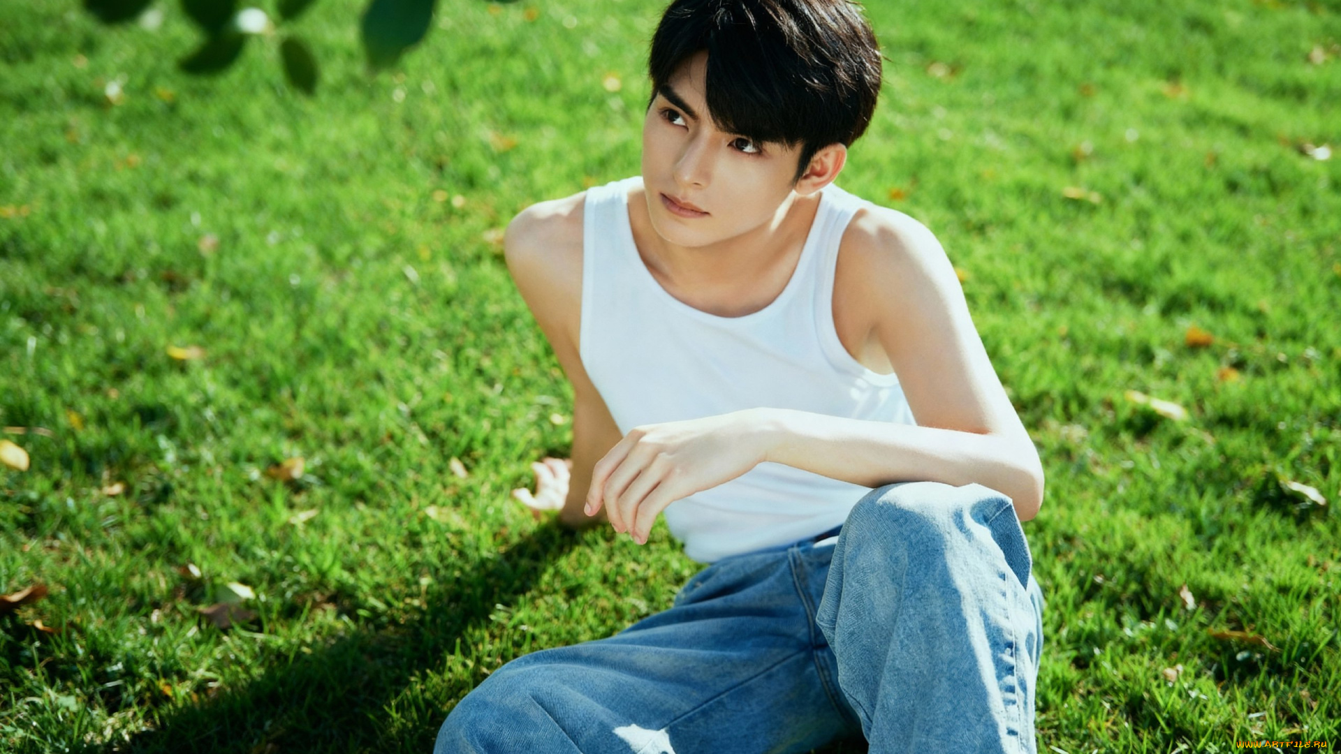 мужчины, wang, hao, xuan, ван, хао, сюань