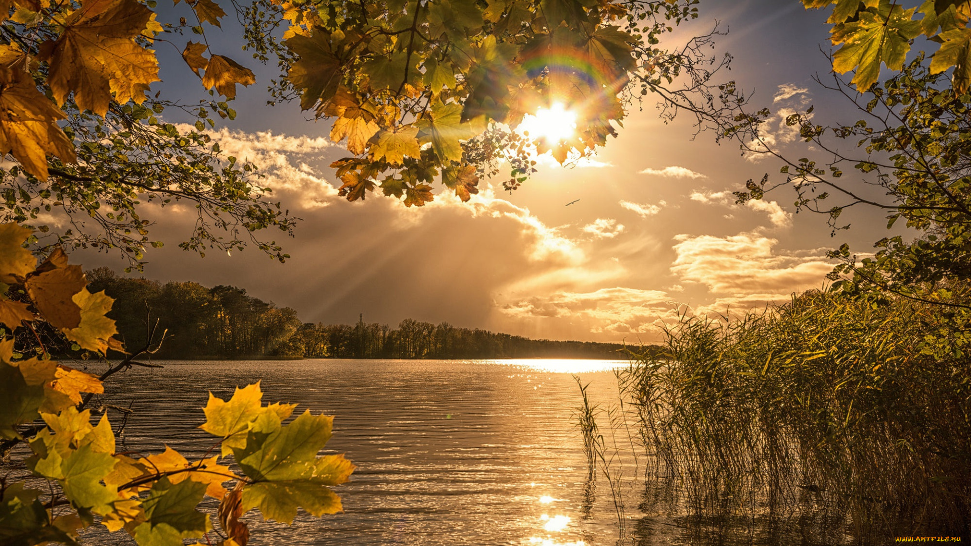 природа, реки, озера, пейзаж