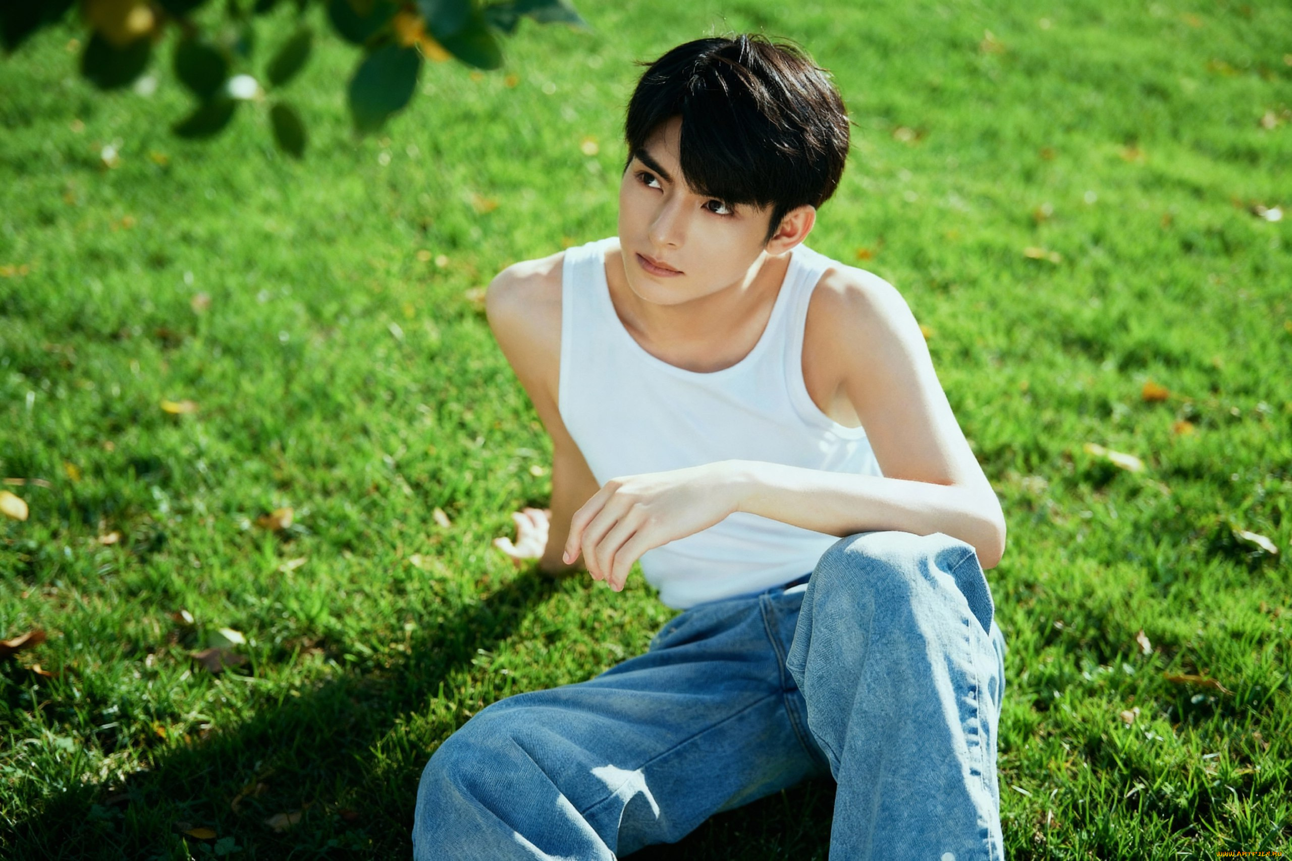 мужчины, wang, hao, xuan, ван, хао, сюань