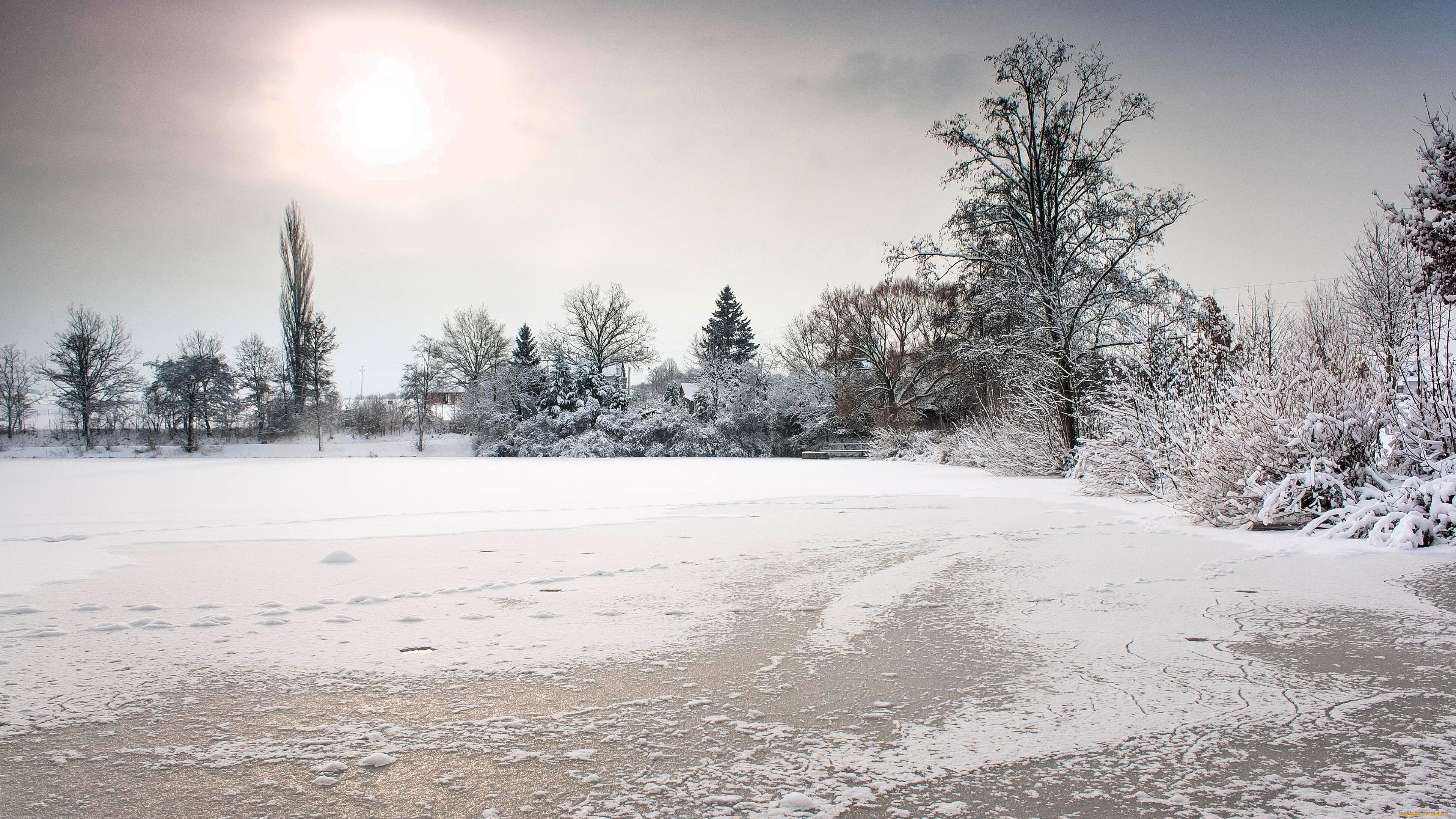 природа, зима, снег, лед, деревья