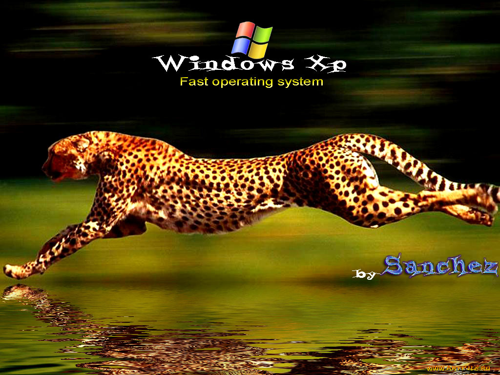 компьютеры, windows, xp