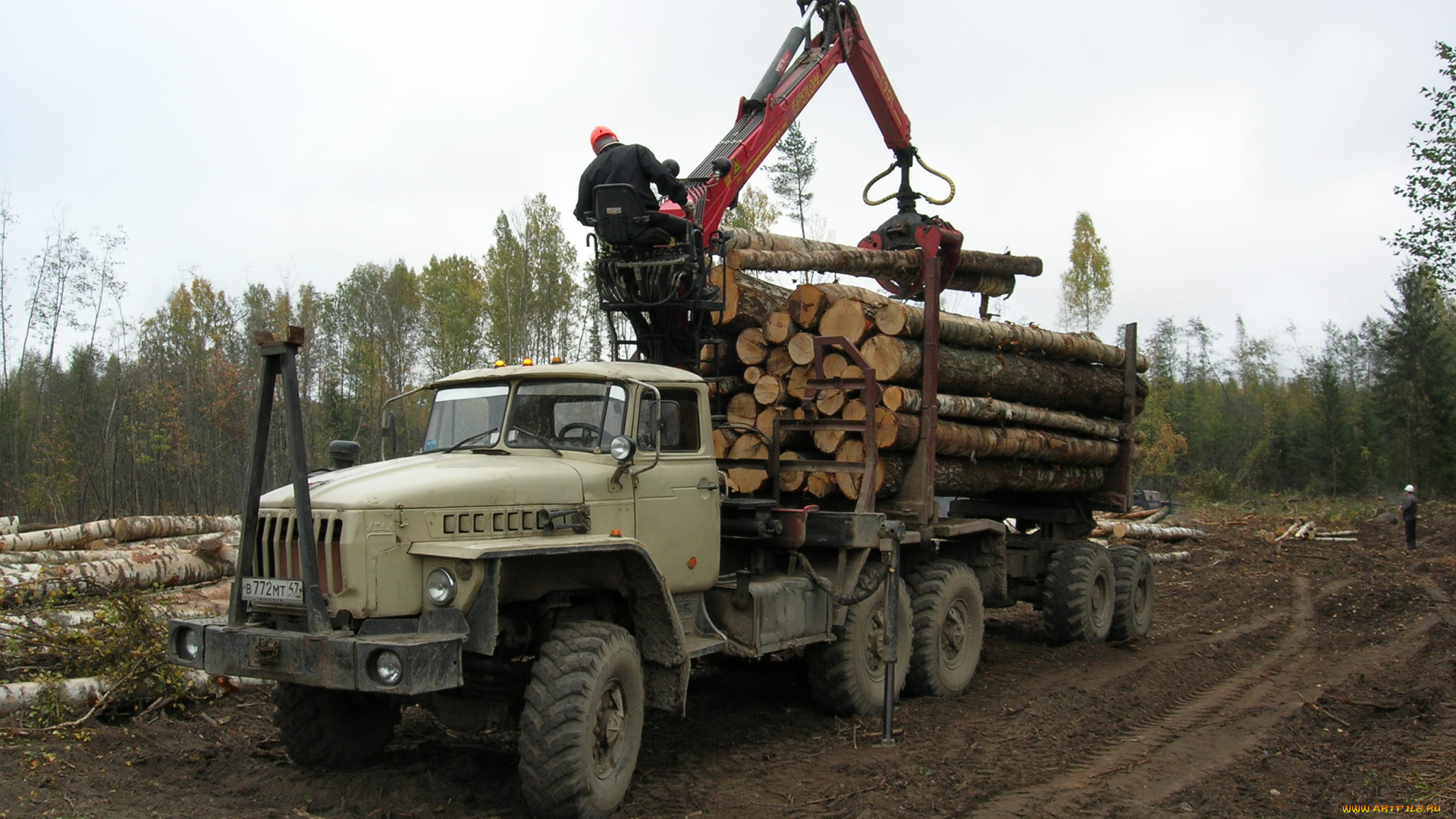 автомобили