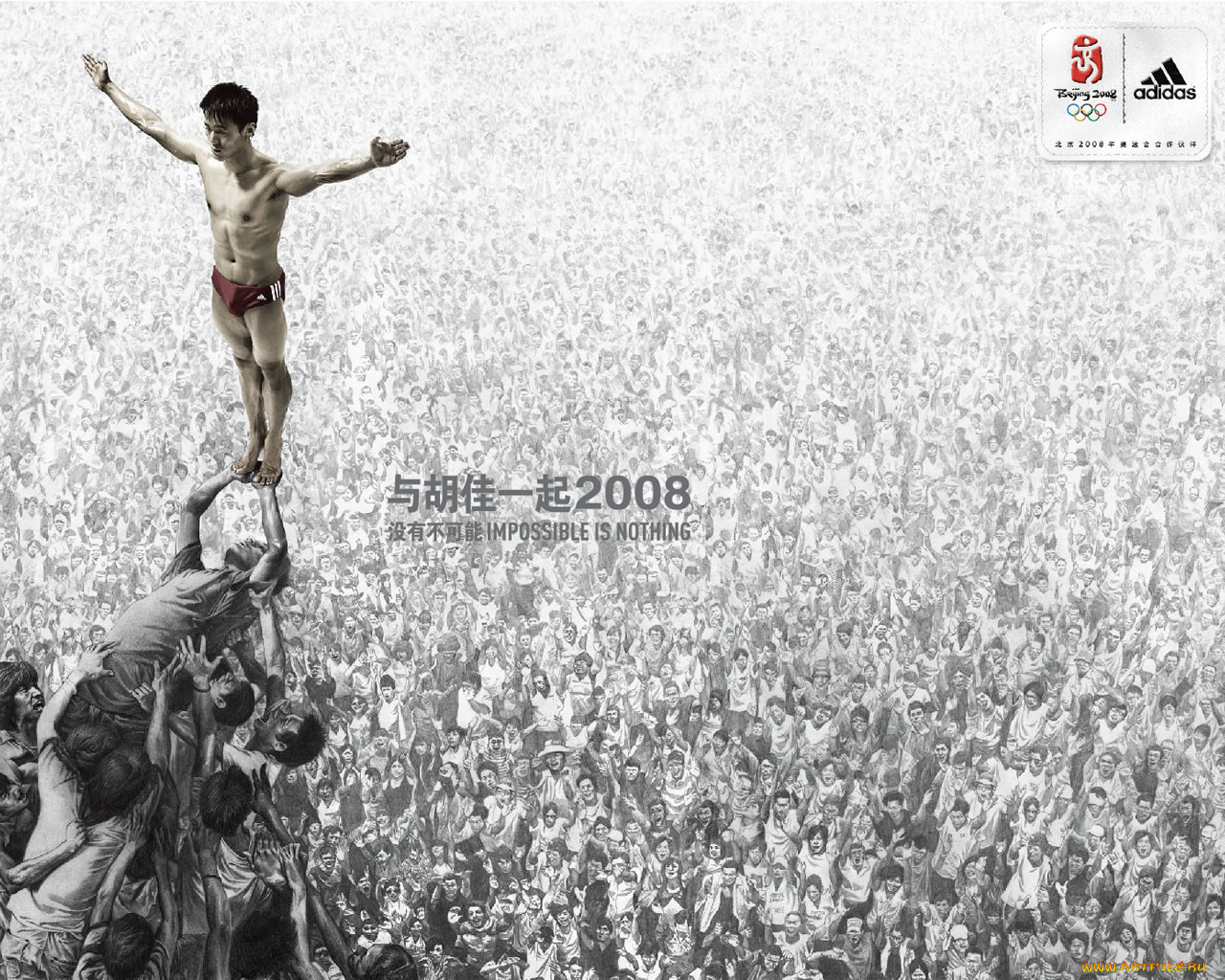 бренды, adidas