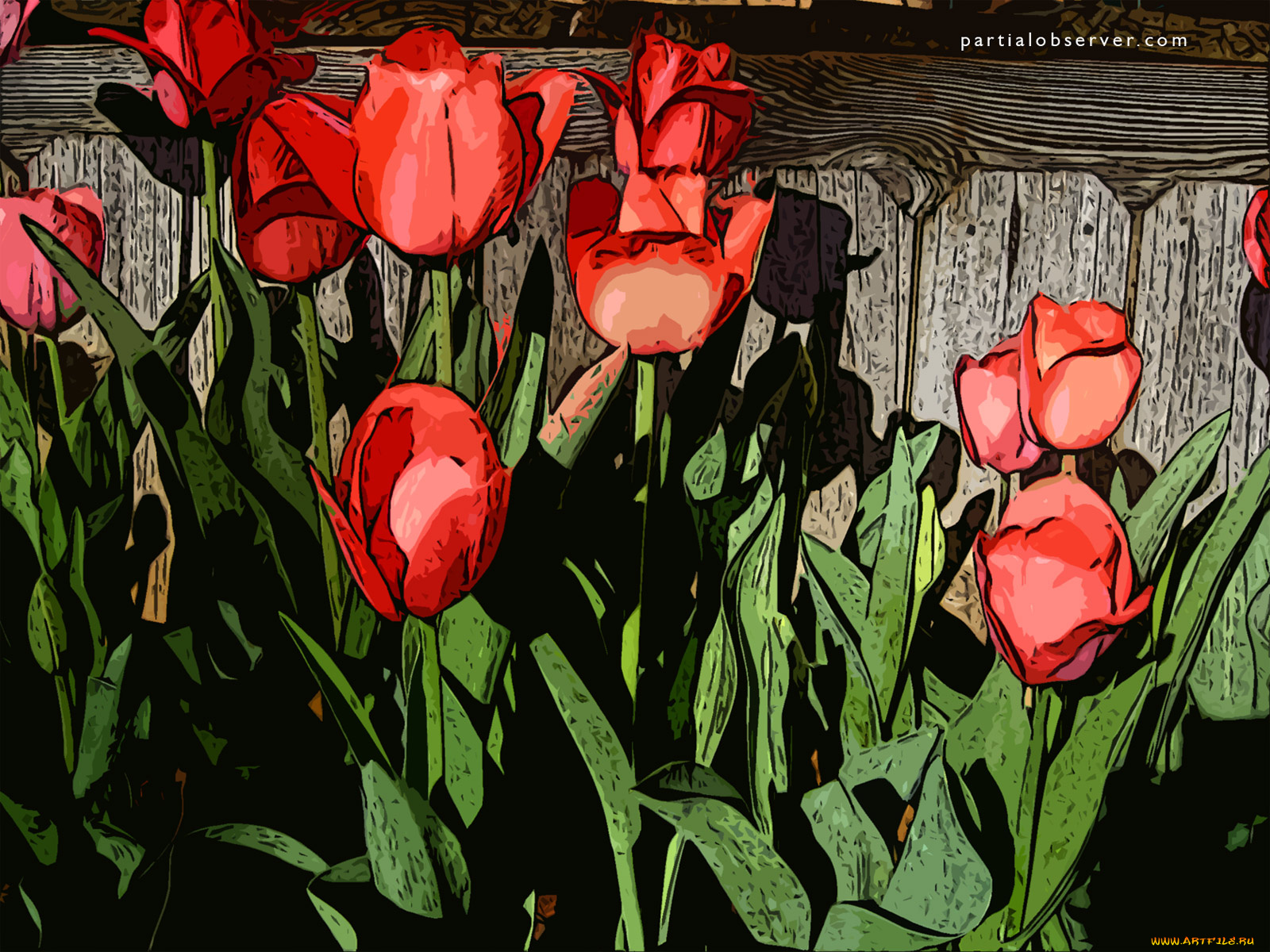 векторная, графика