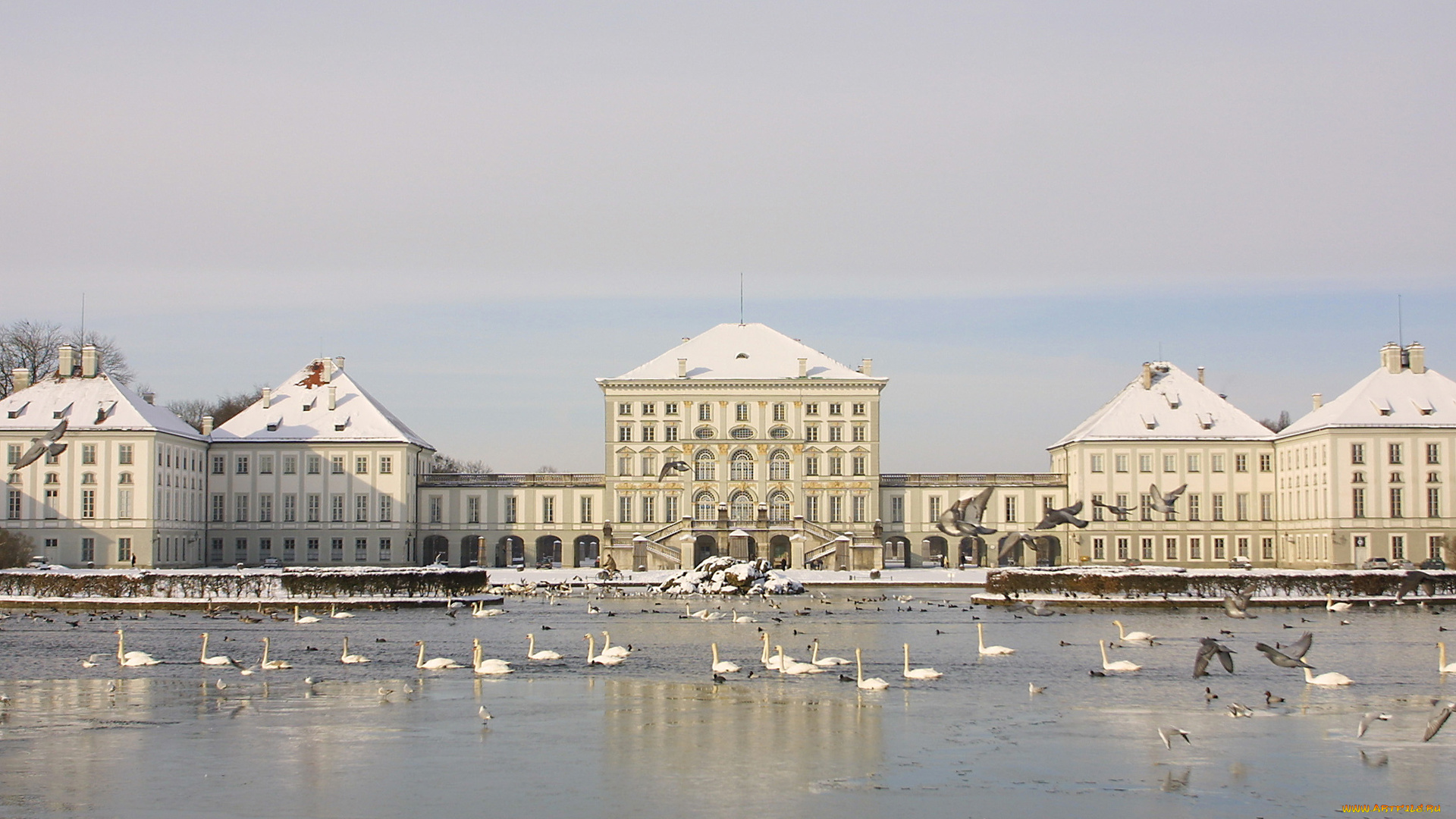 города, здания, дома, лебеди, зима, озеро, птицы