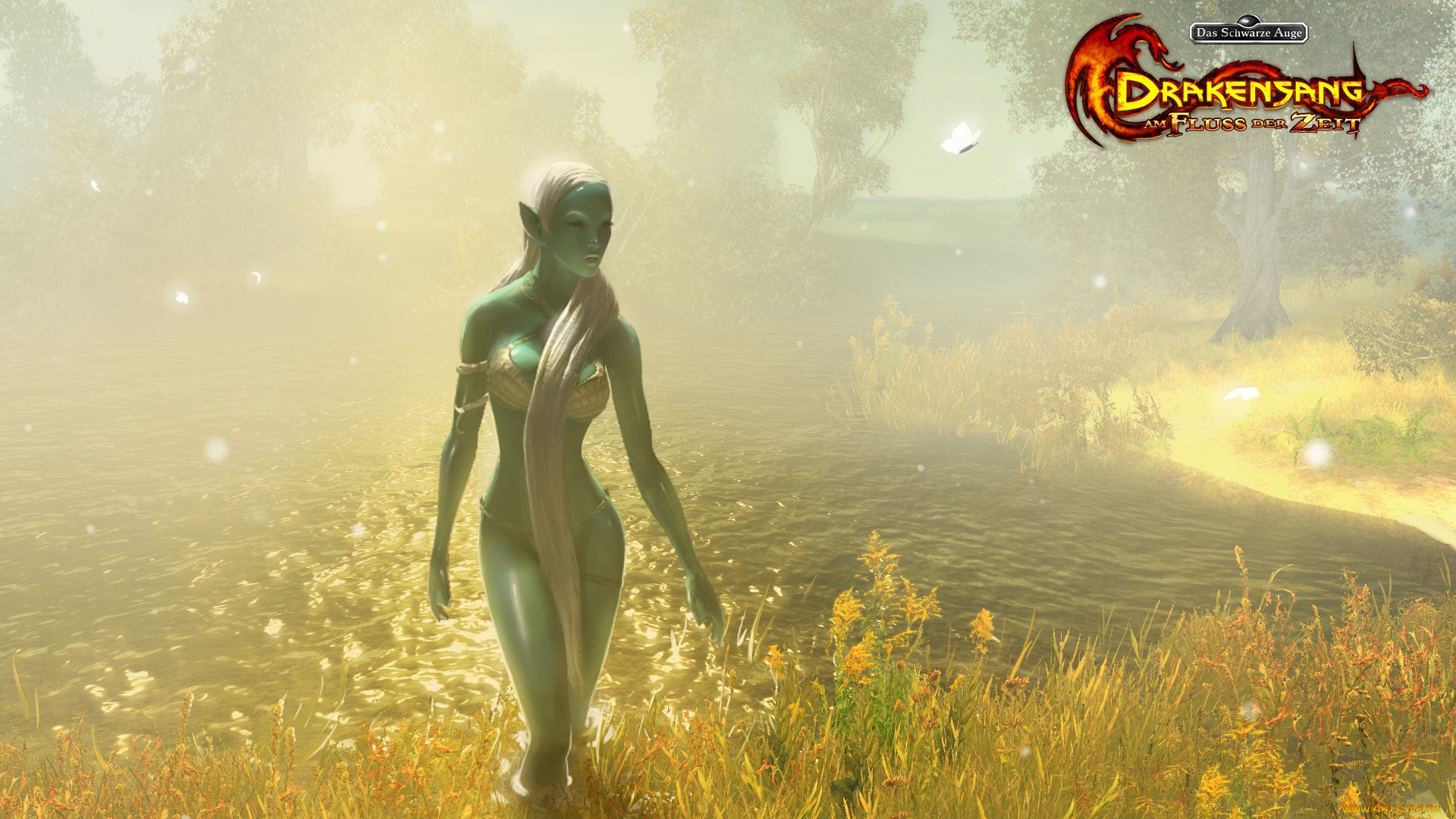 drakensang, видео, игры, am, fluss, der, zeit, эльфийка