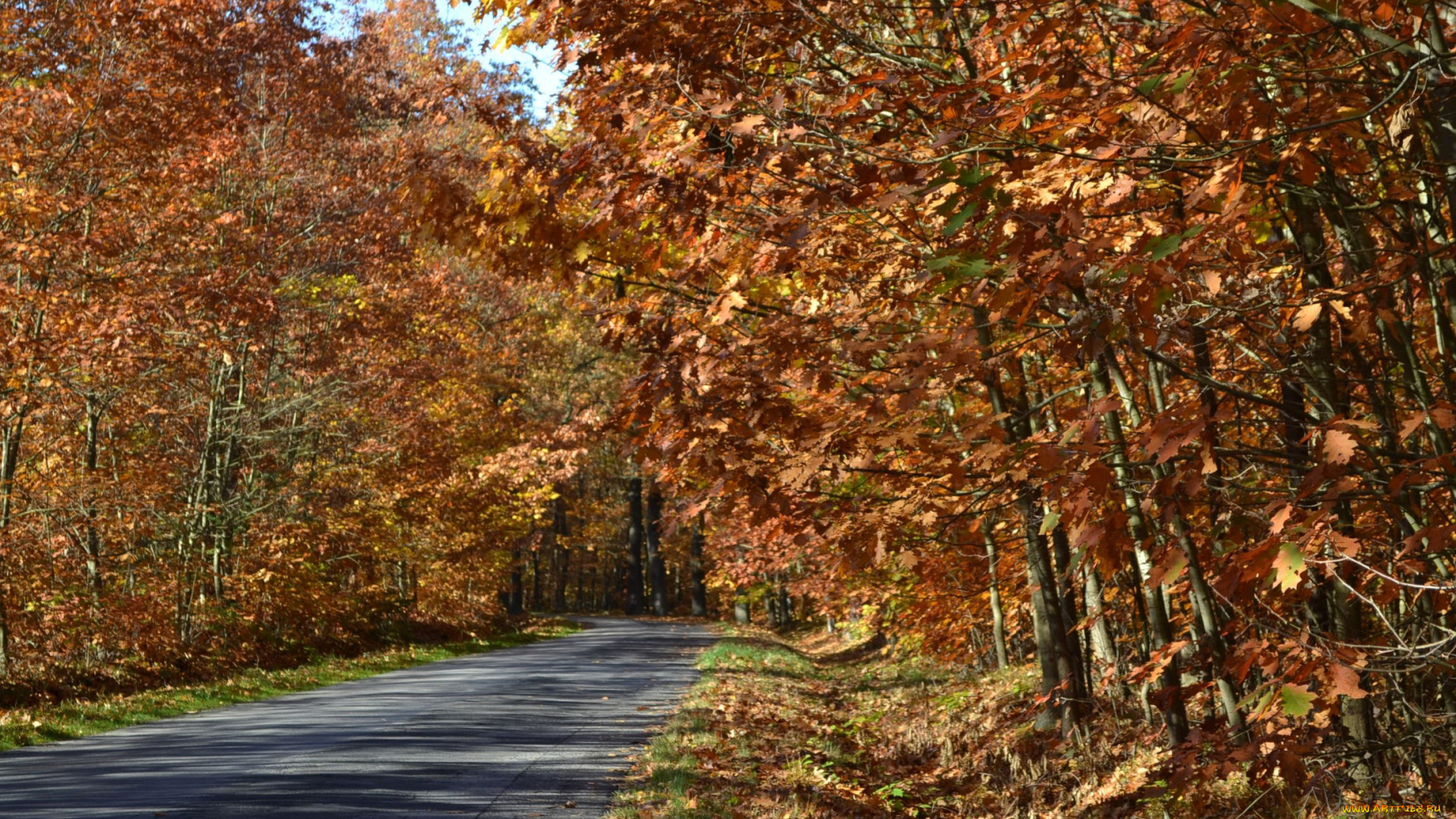 природа, дороги, осень, деревья, шоссе