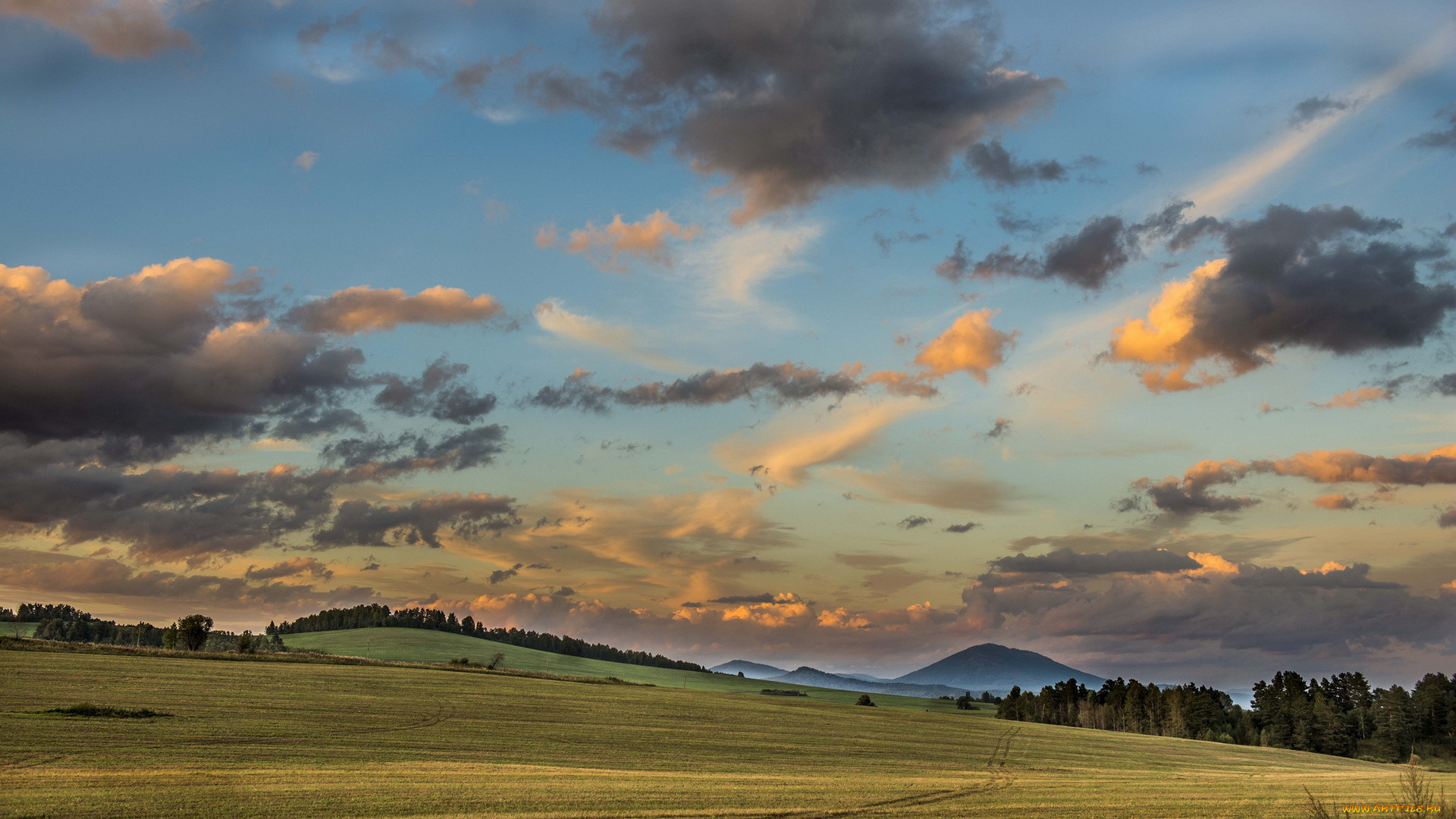 природа, поля, облака, небо, поле